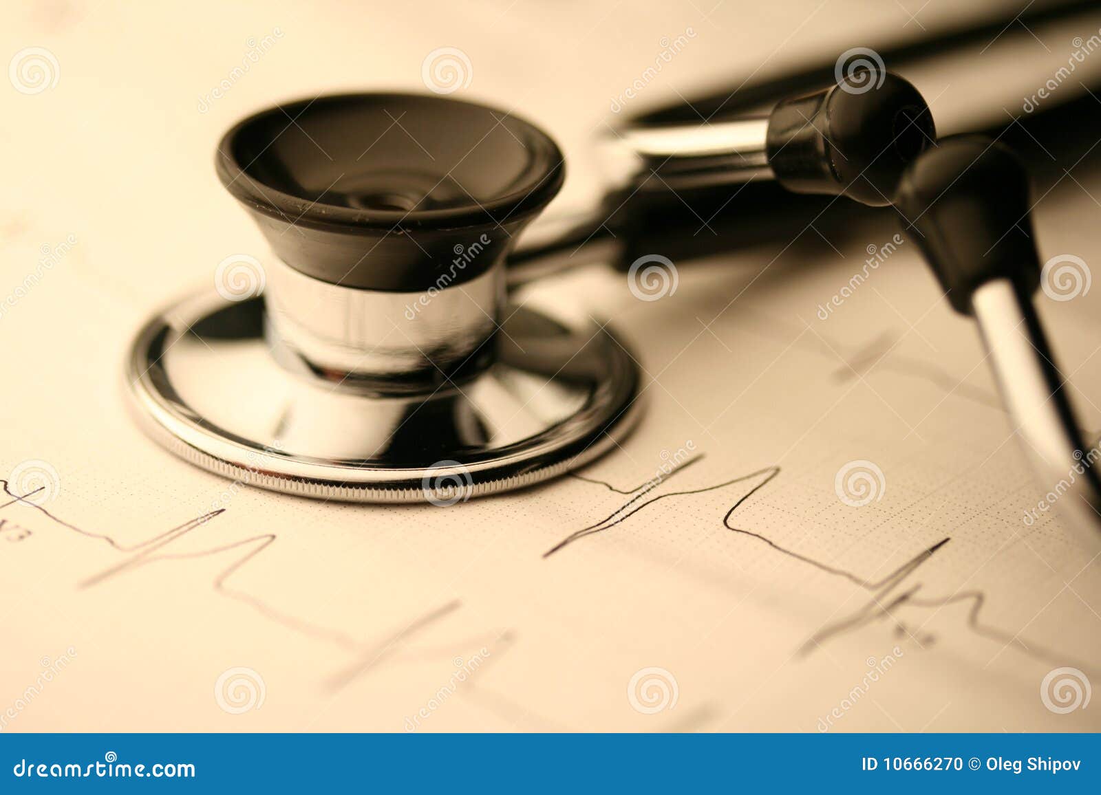 Stethoscope and EKG stock photo. Image of cardiology 10666270