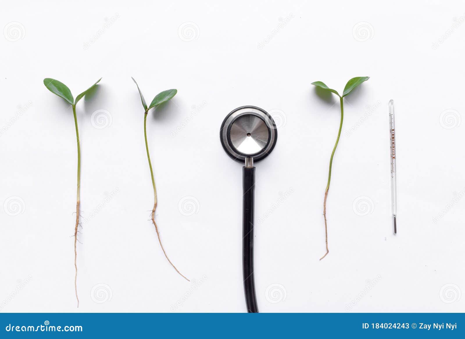 thermometer with shriveled plant Stock Photo