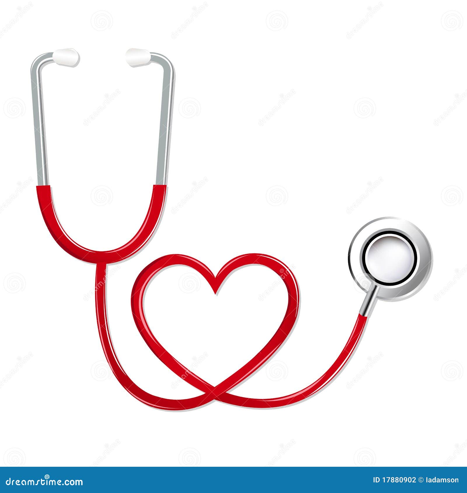 stethoscope in  of heart. 