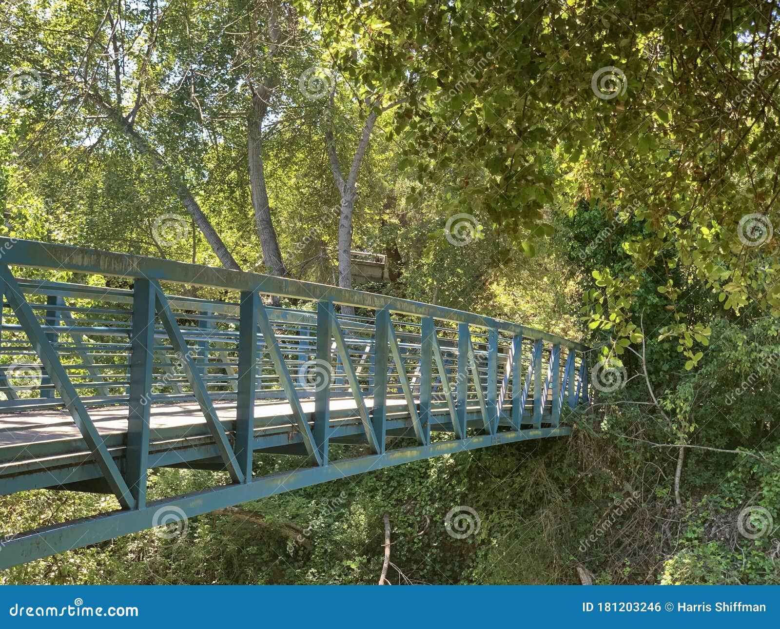 stevens creek footbridge