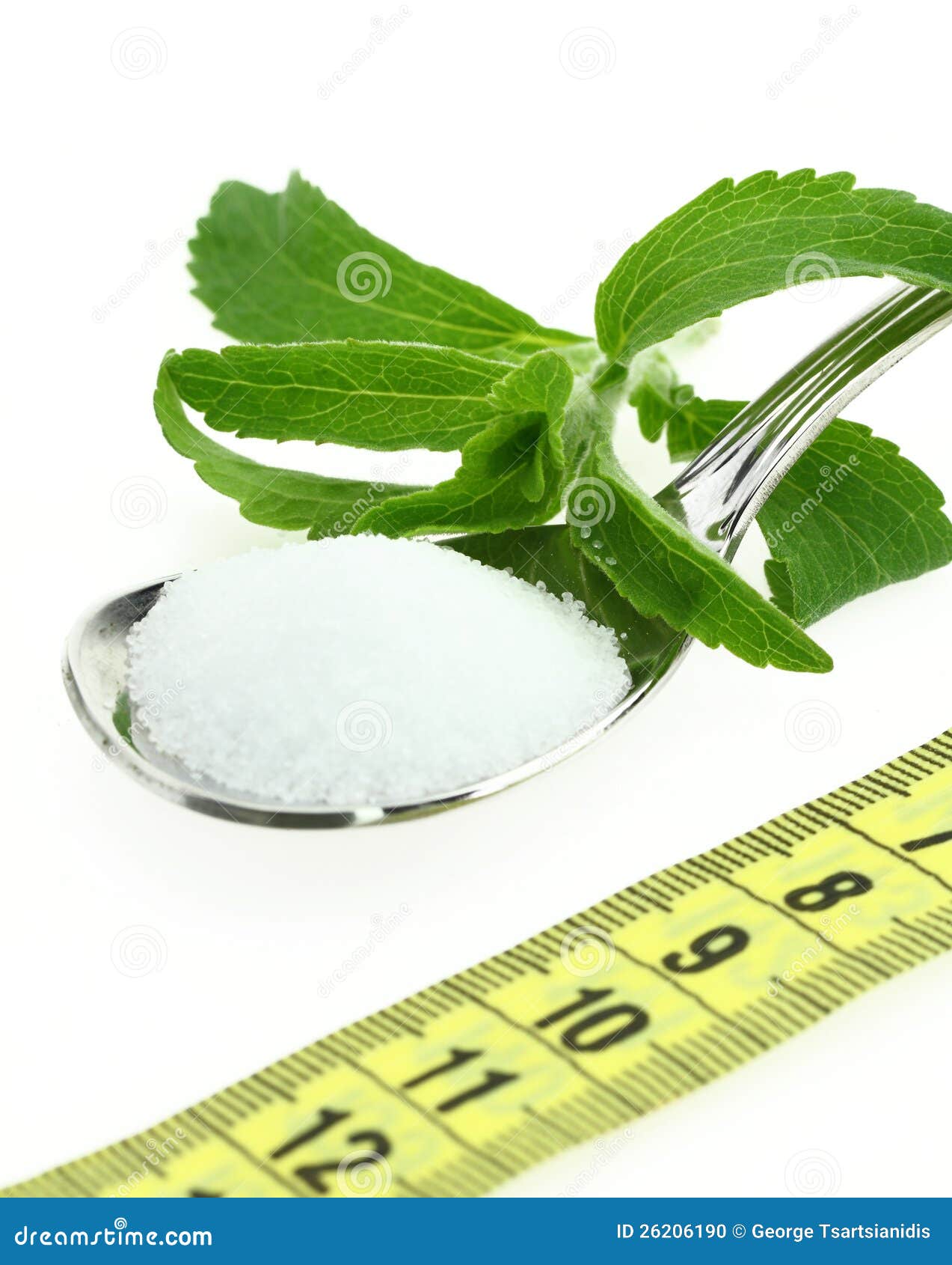 Stevia Rebaudiana photo stock. Image du culinaire, herbes 26206190