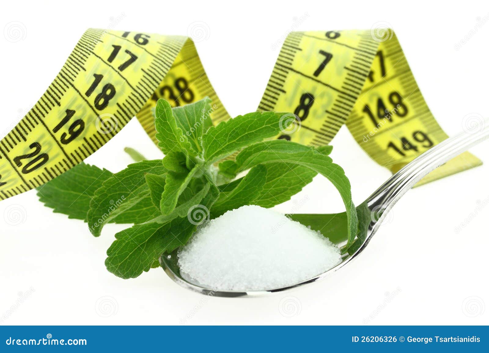 Stevia Rebaudiana stock photo. Image of diabetic, measure 26206326