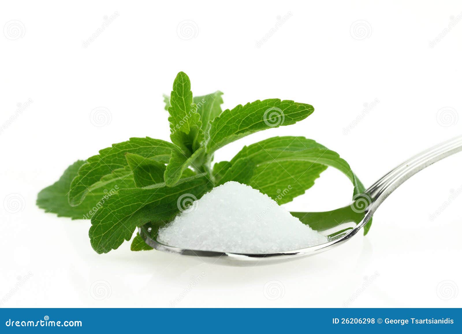 stevia sugar