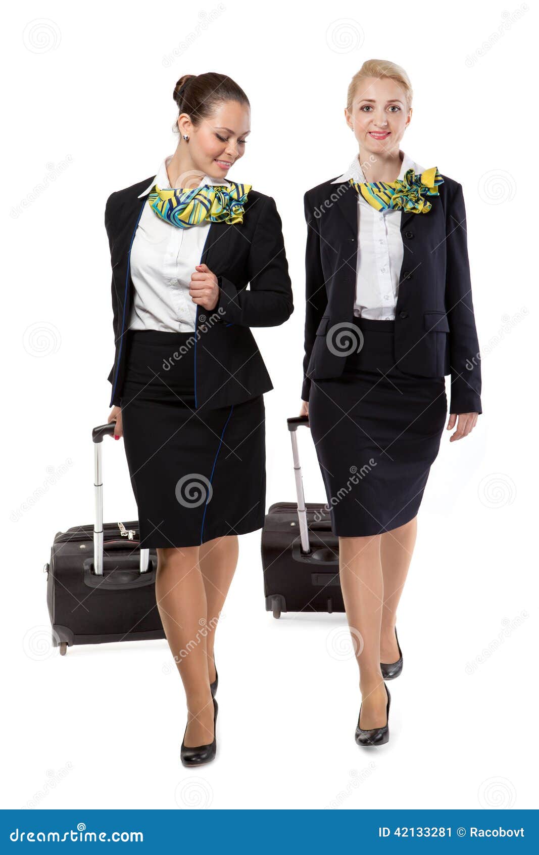 Stewardess with Luggage Bags Stock Image Image of attractive, girl