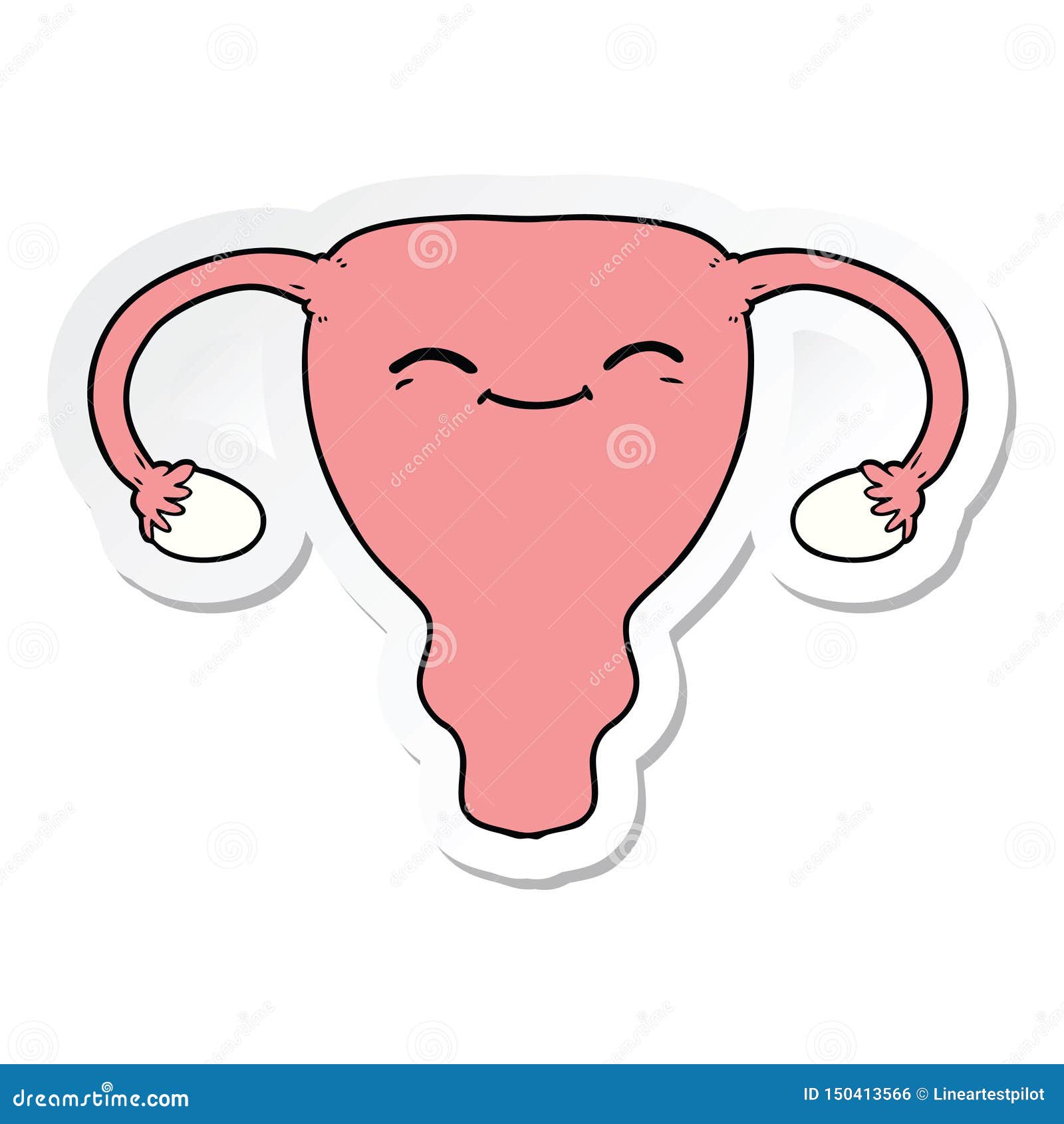 Uterus Human Internal Organ Female Reproductive System Health ...