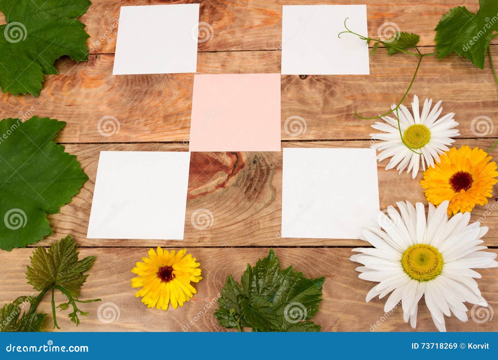 Stickers on the Table with Grape Vine and Flowers Stock Image Image