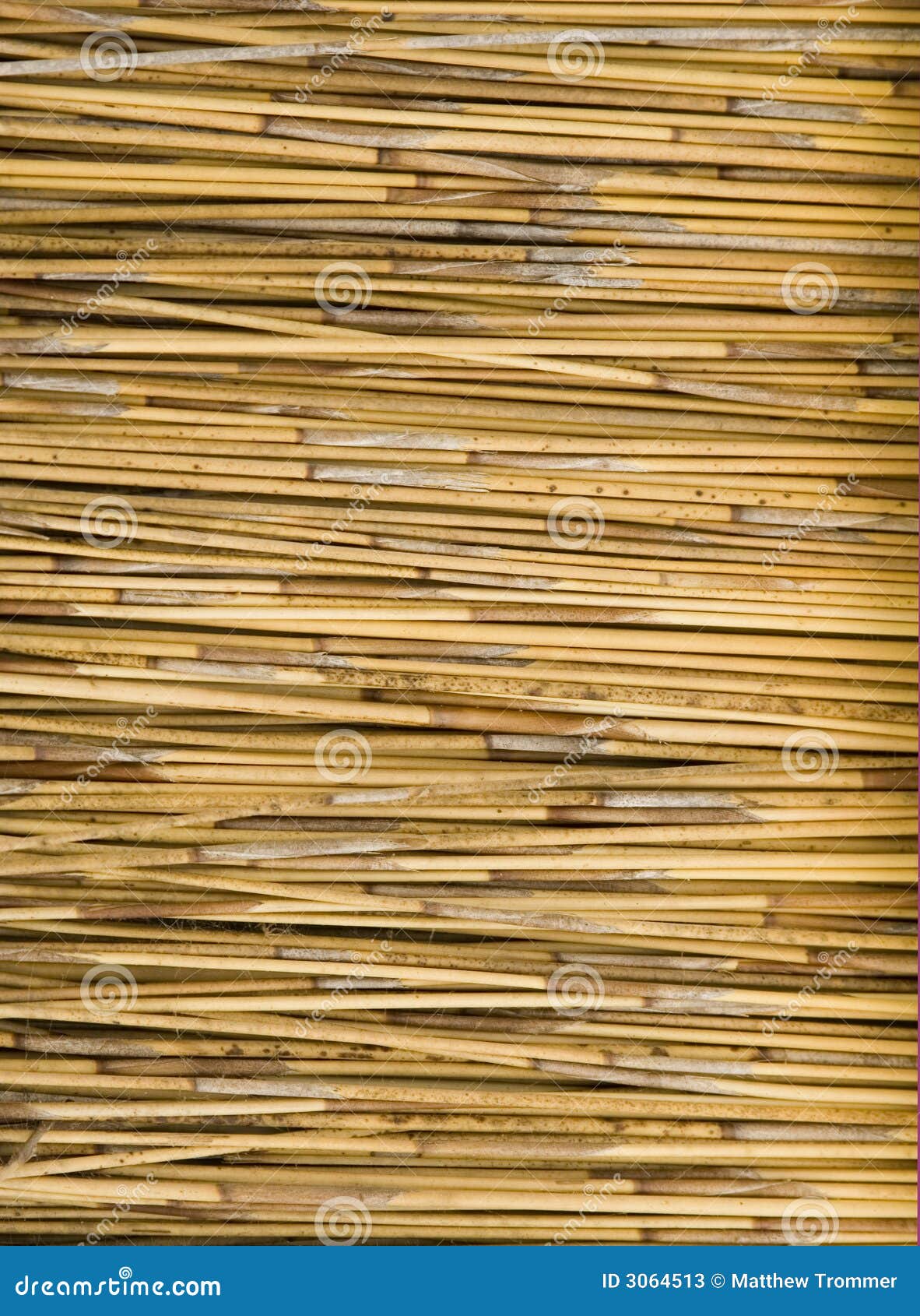 Sticks of Straw stock image. Image of patterns, straw 3064513