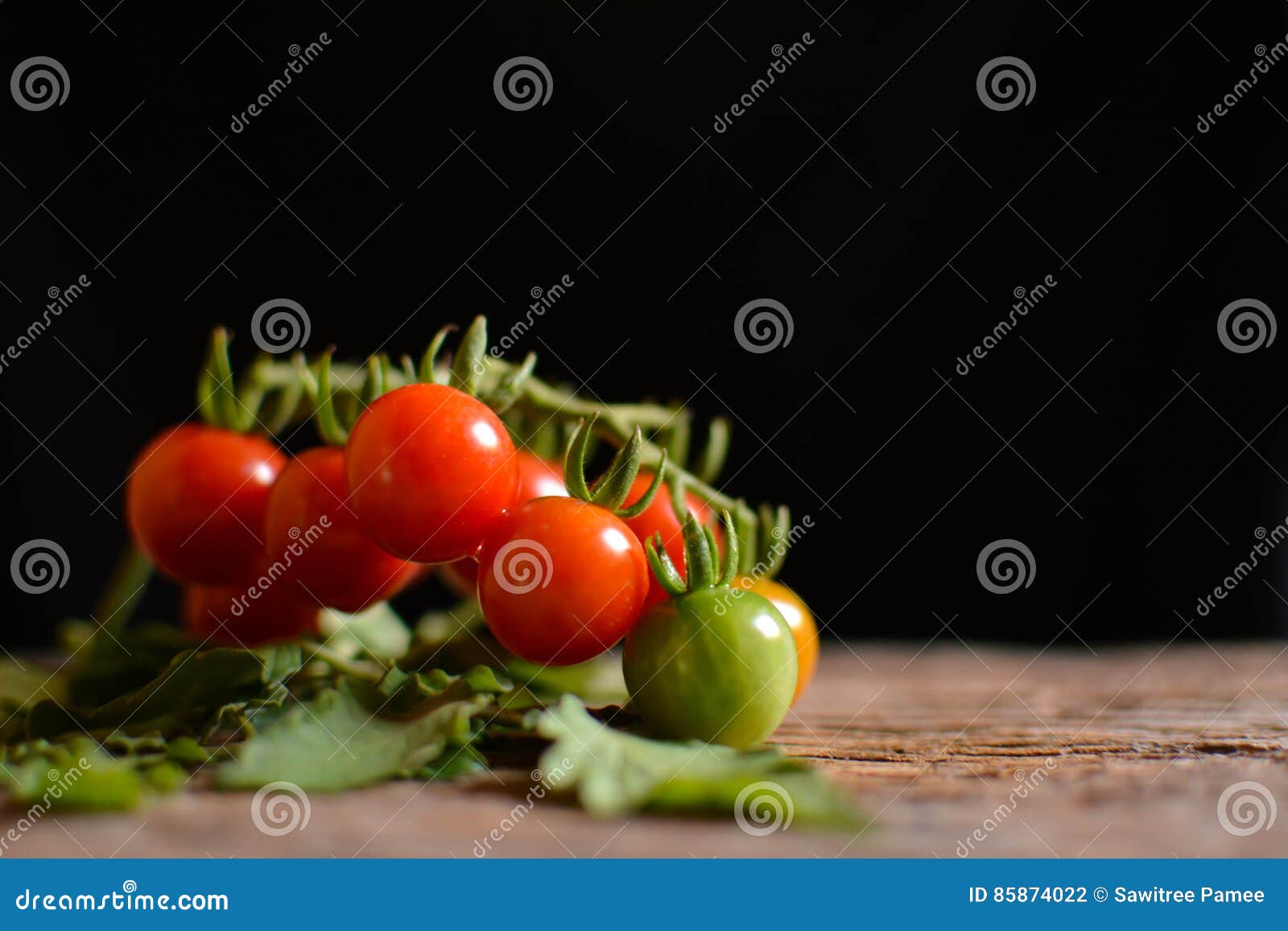 stil life group of tomato on old wood