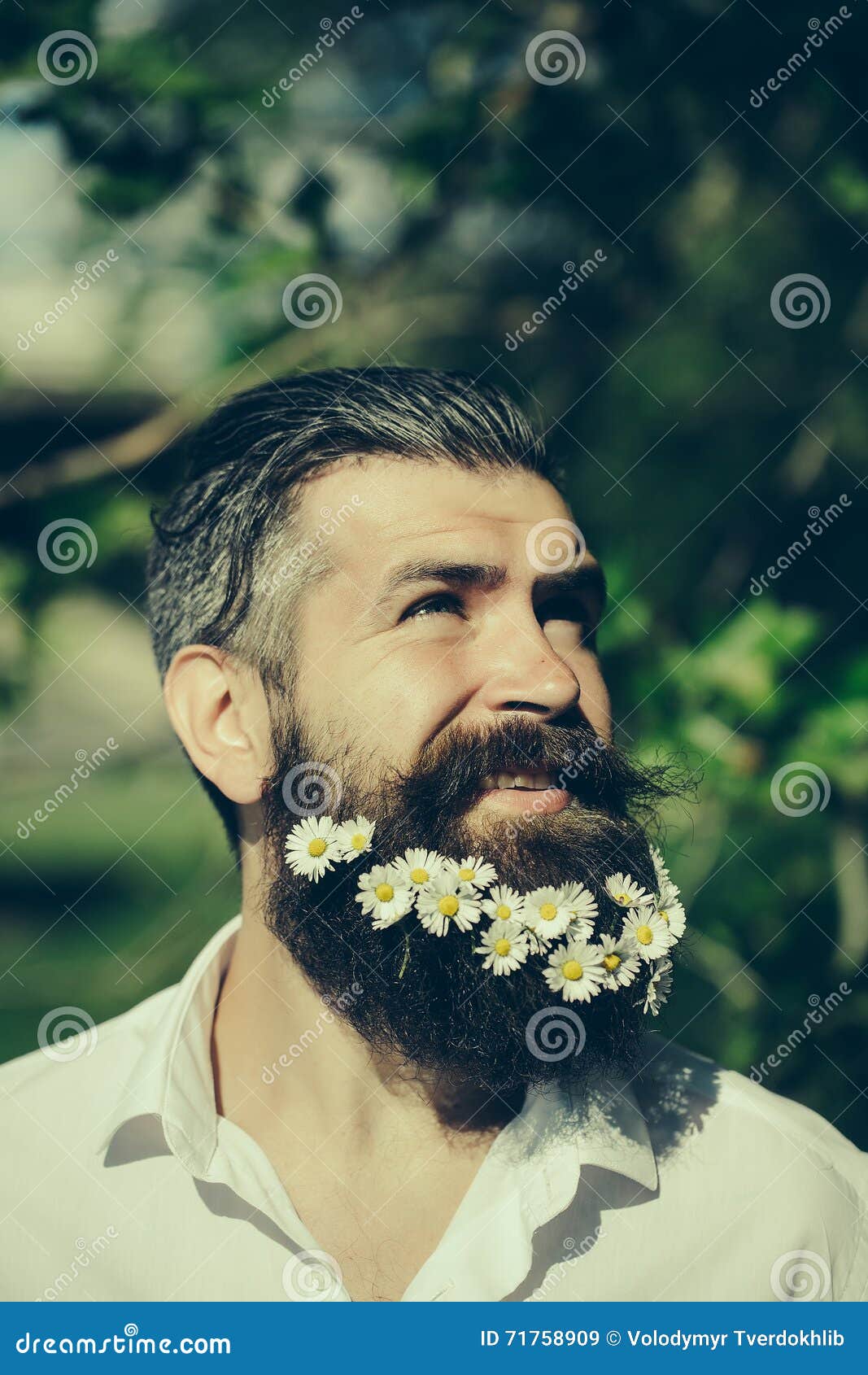 Stilig man med blommor i skägg. Den stiliga hipstermanbrunetten med tusenskönan blommar i skägg i svart skjorta med den utomhus- soliga dagen för den eleganta mustaschen och för stilfullt hår