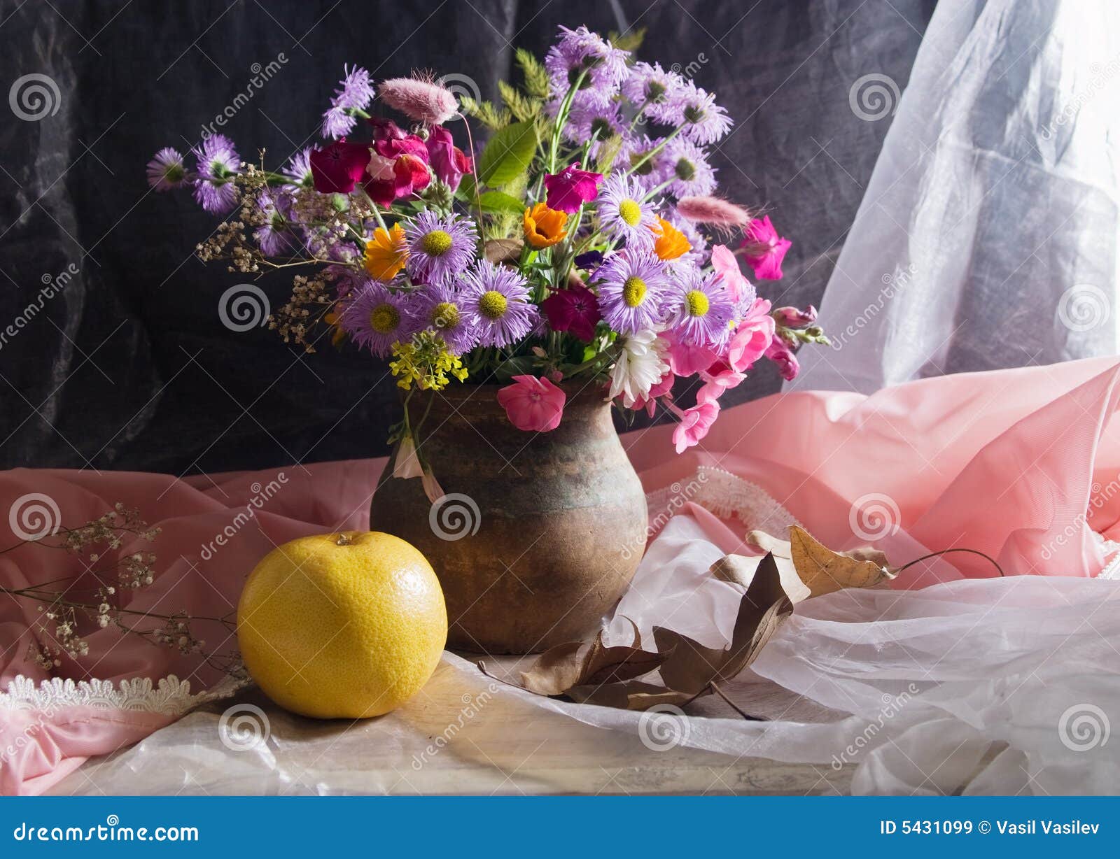 Still life stock image. Image of veil, still, grapefruit - 5431099