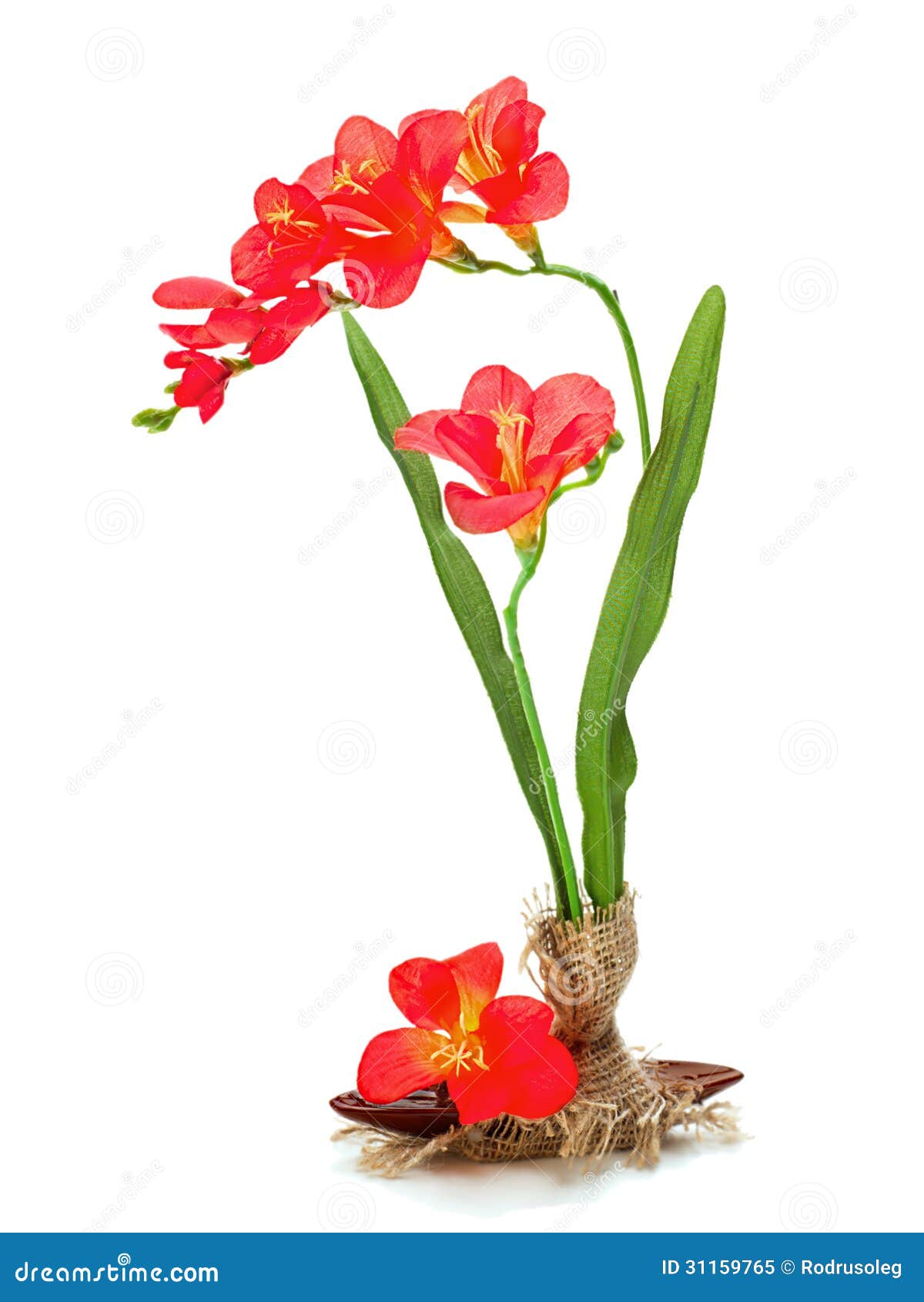 Still Life from Artificial Freziya Flowers. Stock Image Image of