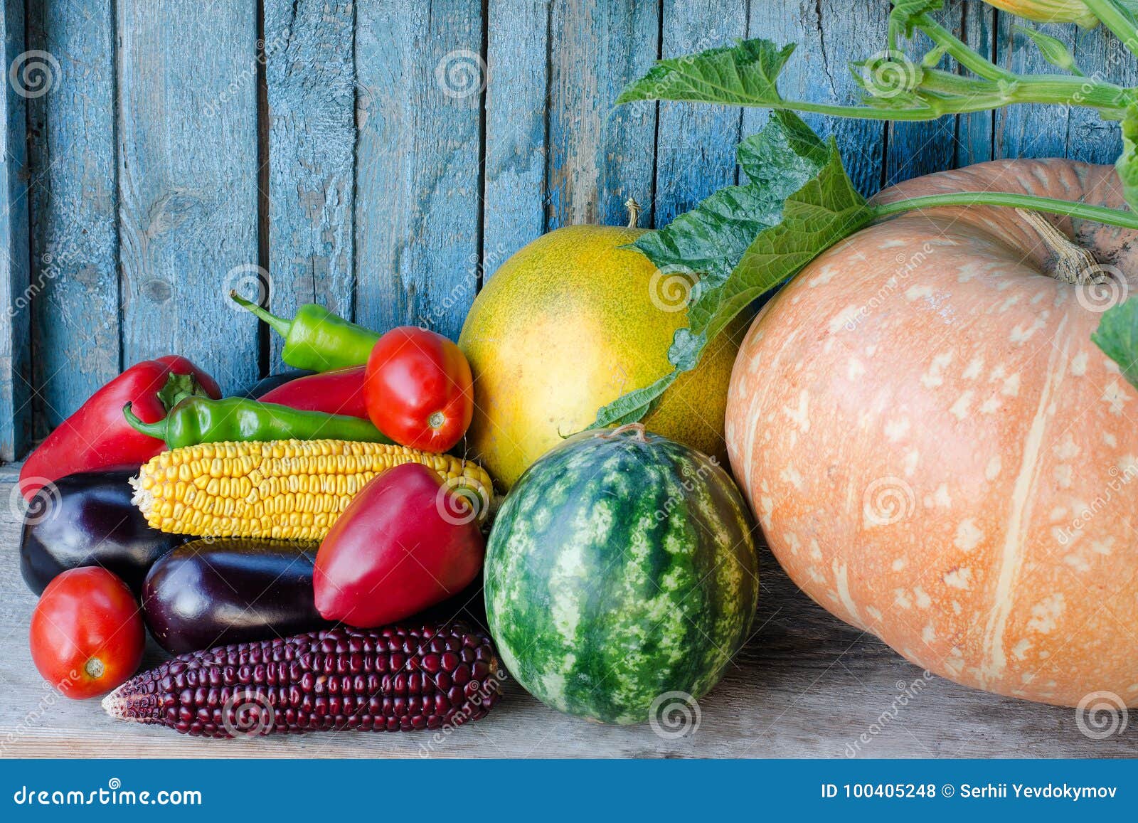 Тыква кабачок помидор. Бахчевые овощи. Тыква и Арбуз. Арбузы дыни овощи. Бахчой овощ.