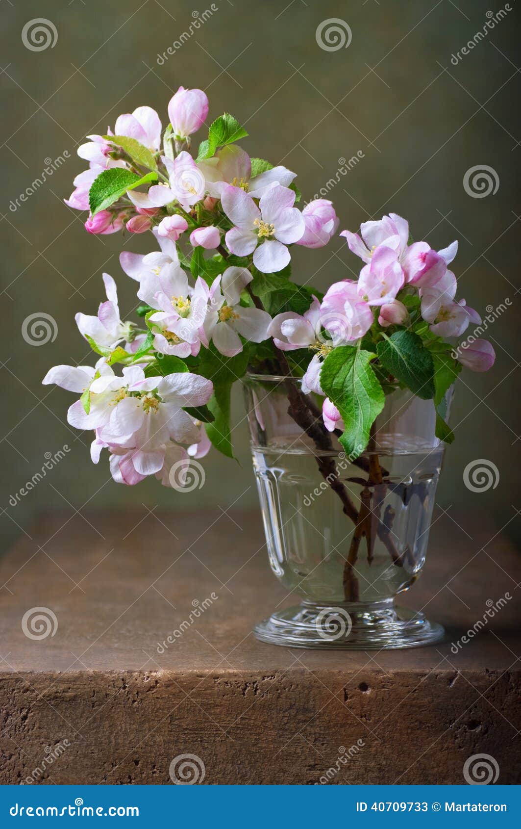 still life with blossoming apple tree