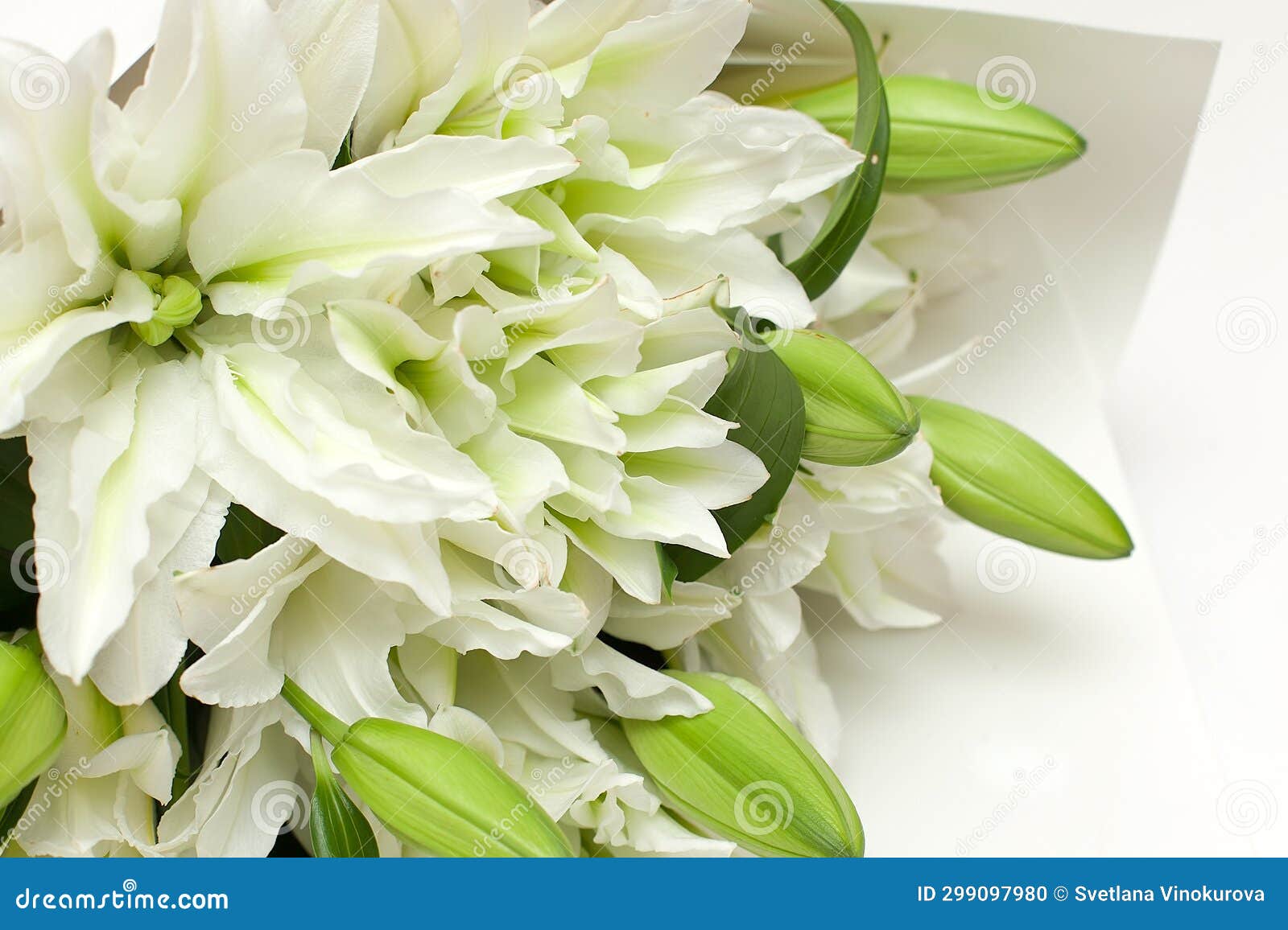 Still Life with a Bouquet of White Lilies Stock Photo Image of bridal, lilies 299097980