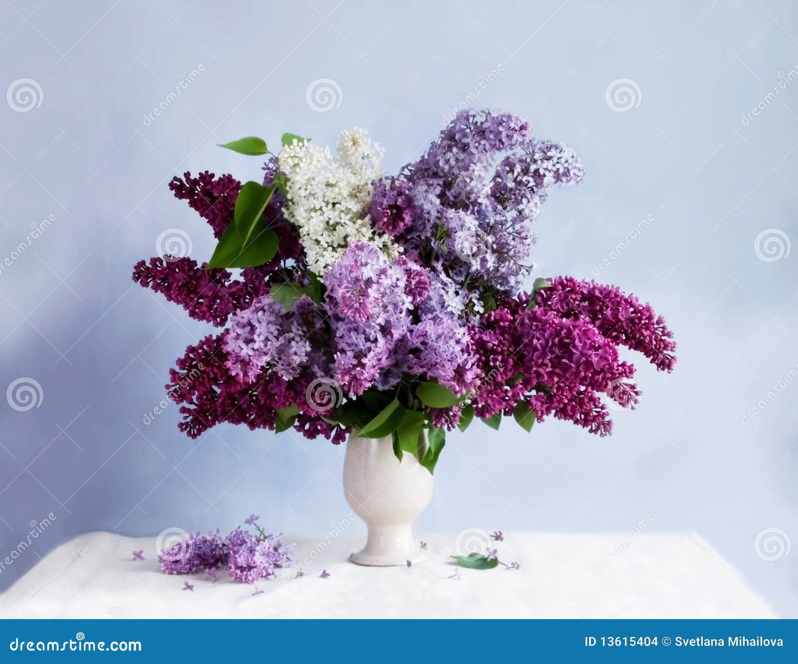 https://thumbs.dreamstime.com/z/still-life-bunch-lilac-13615404.jpg