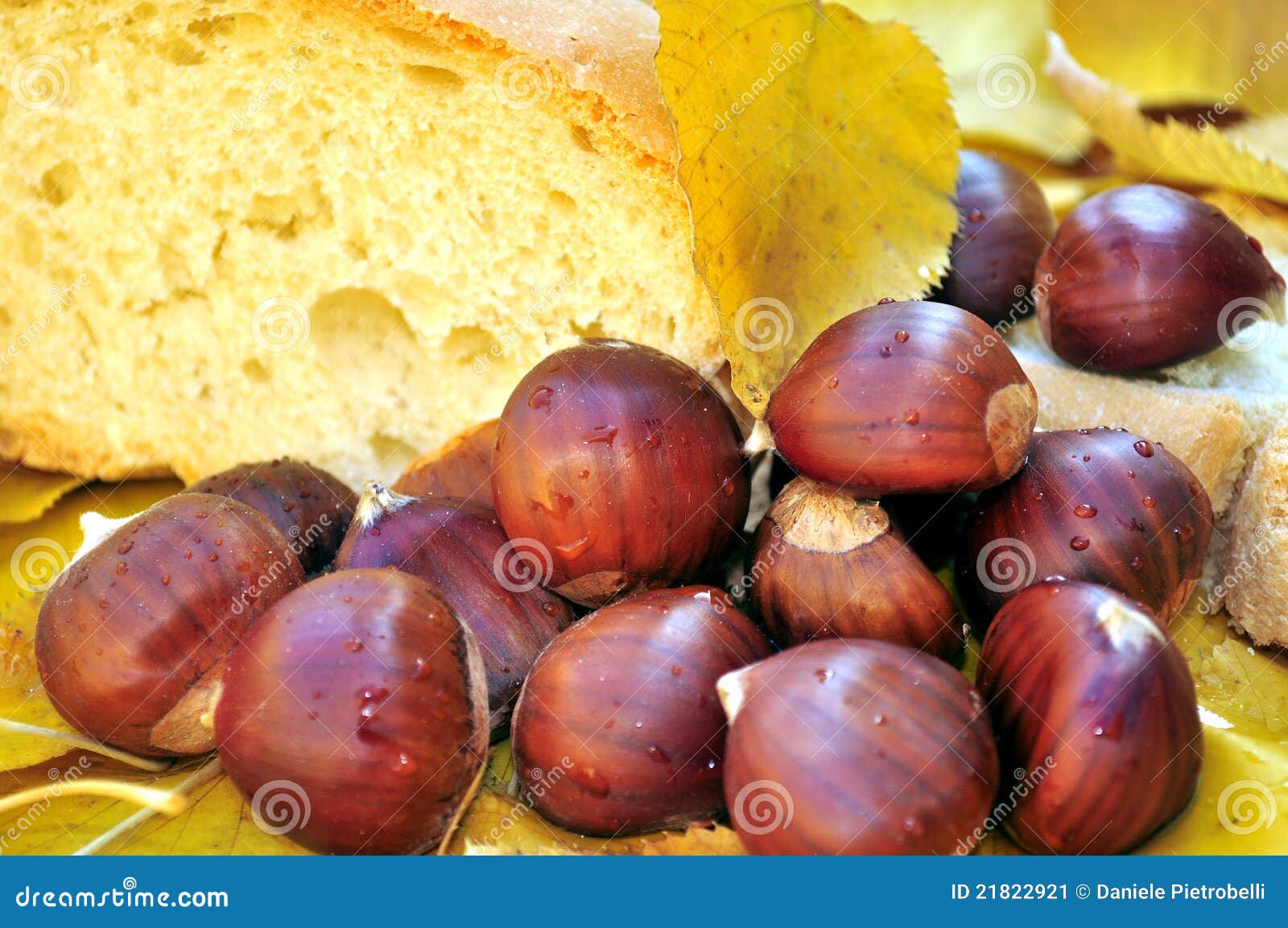 Still Life with Chestnuts and Bread Stock Image Image of grandmother