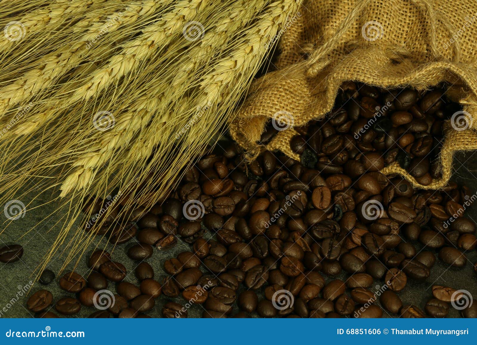 Still Life of Coffee Beans in Sack Stock Photo Image of concept