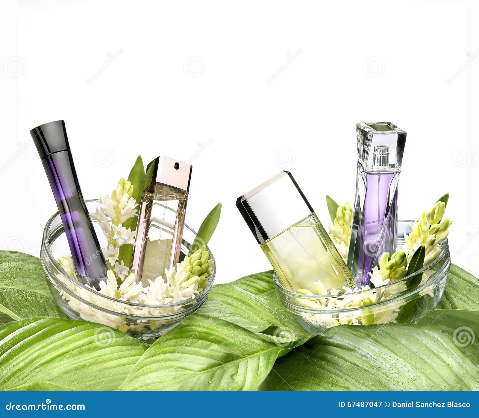 still life of fragrances