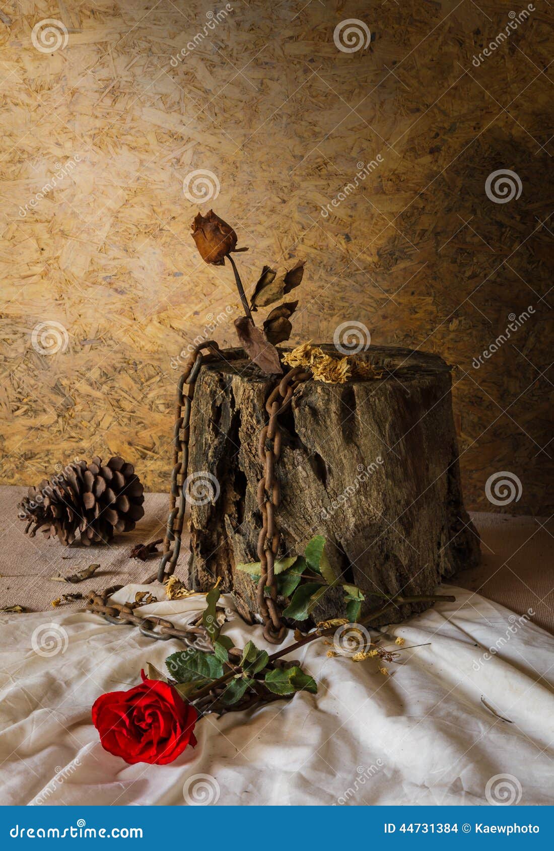Still Life Metaphorical Roses. Stock Photo Image of arrangement, retro 44731384