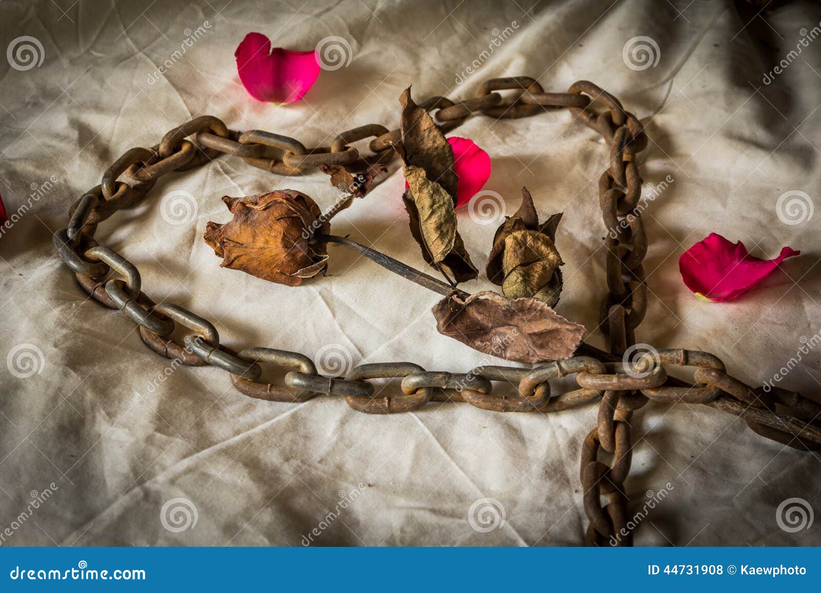 Still Life Metaphorical Roses . Stock Photo Image of ribbon, background 44731908