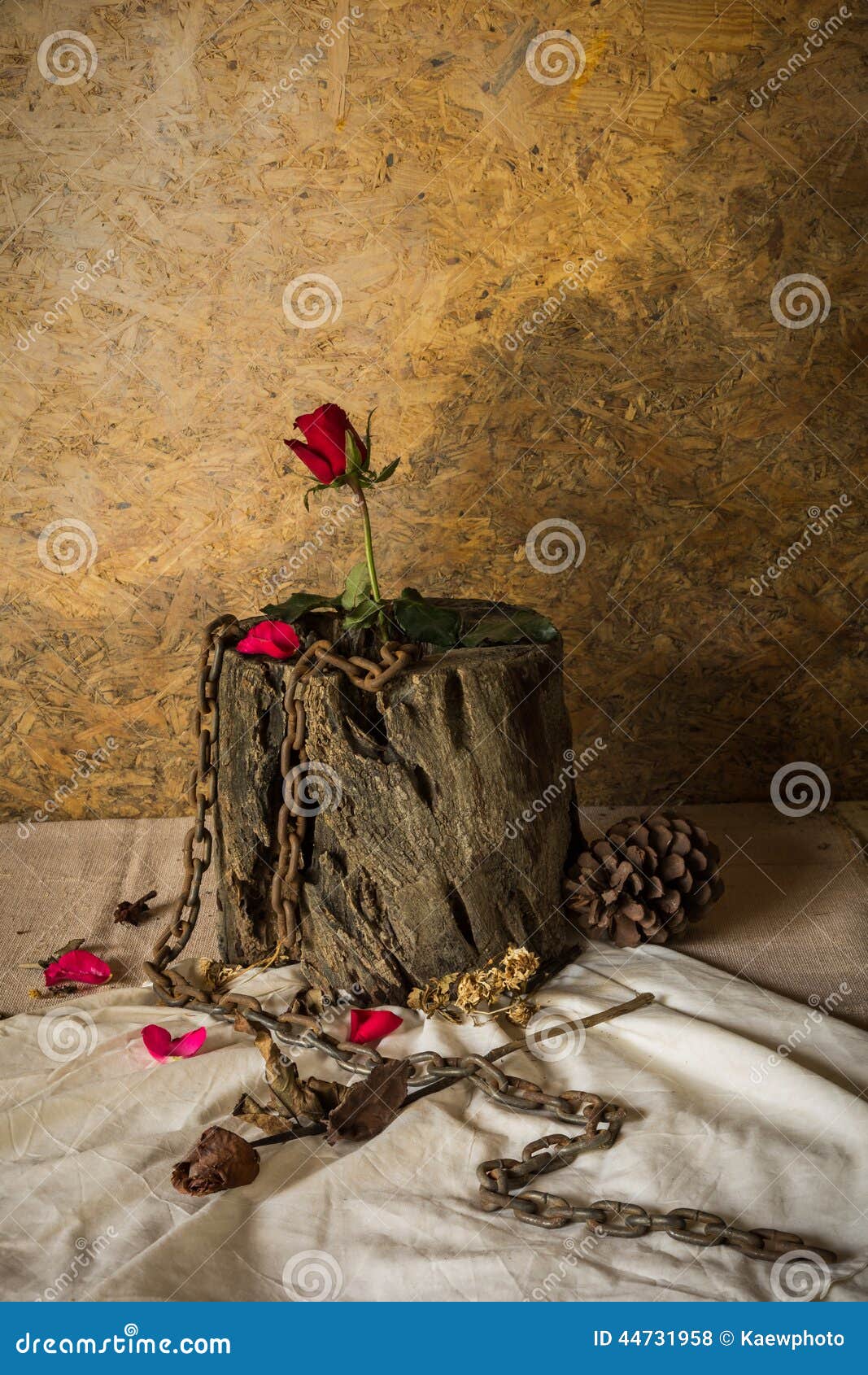 Still Life Metaphorical Roses . Stock Photo Image of greeting, abstract 44731958