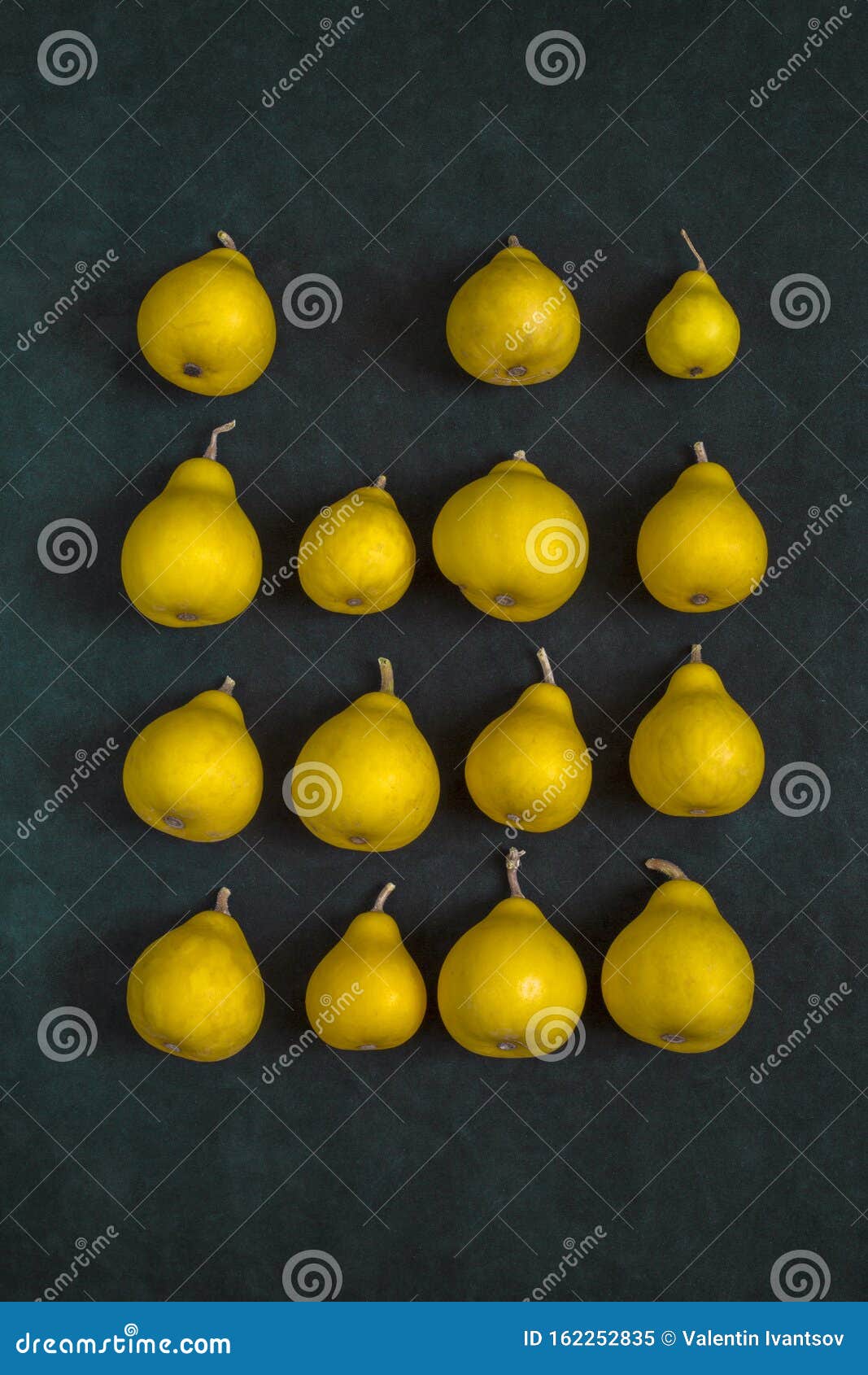 Still Life with Pear-shaped Yellow Decorative Pumpkins Stock Image