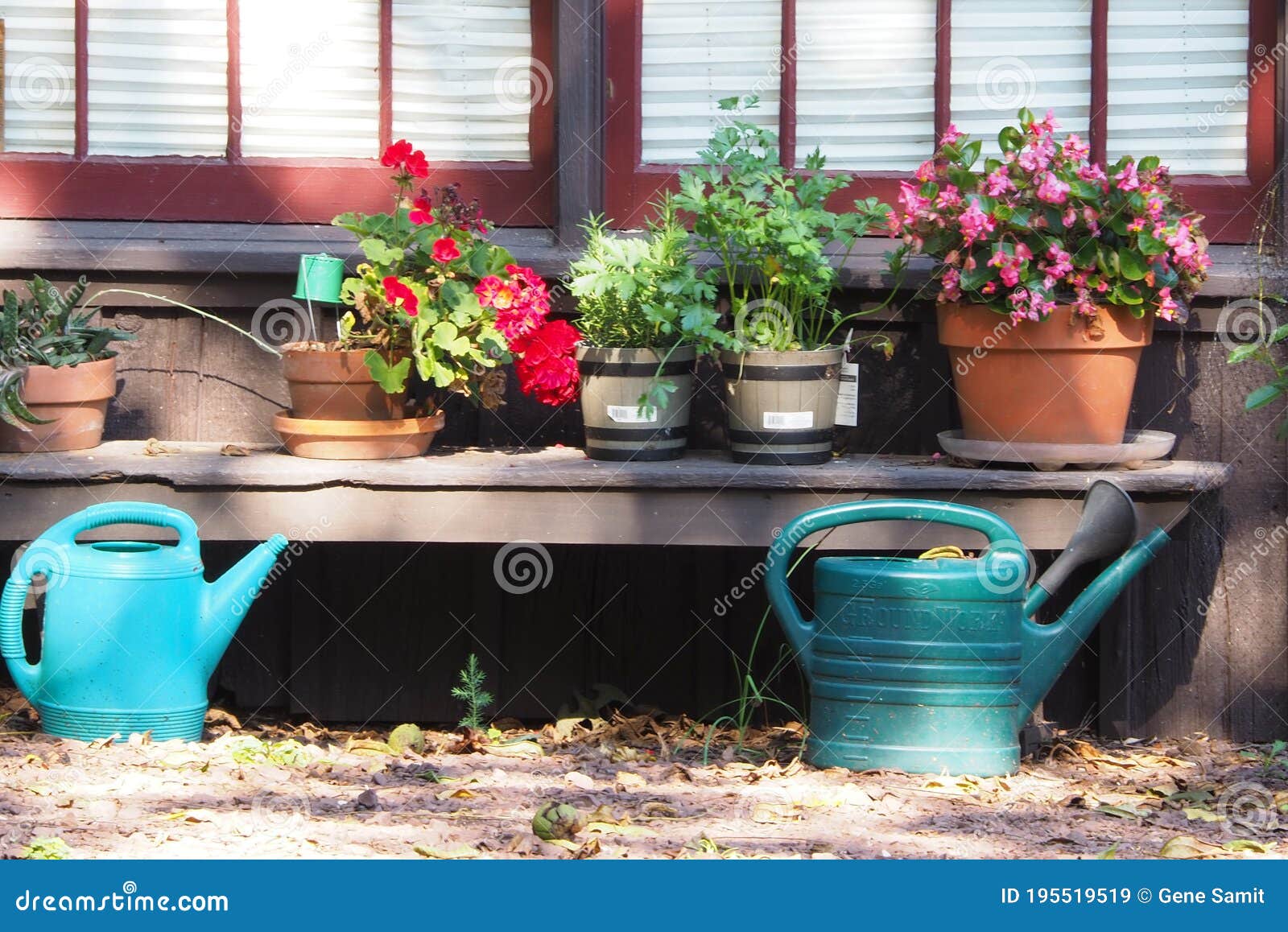 Still Life of Pots, Flowers, and Water Containers. Stock Image Image