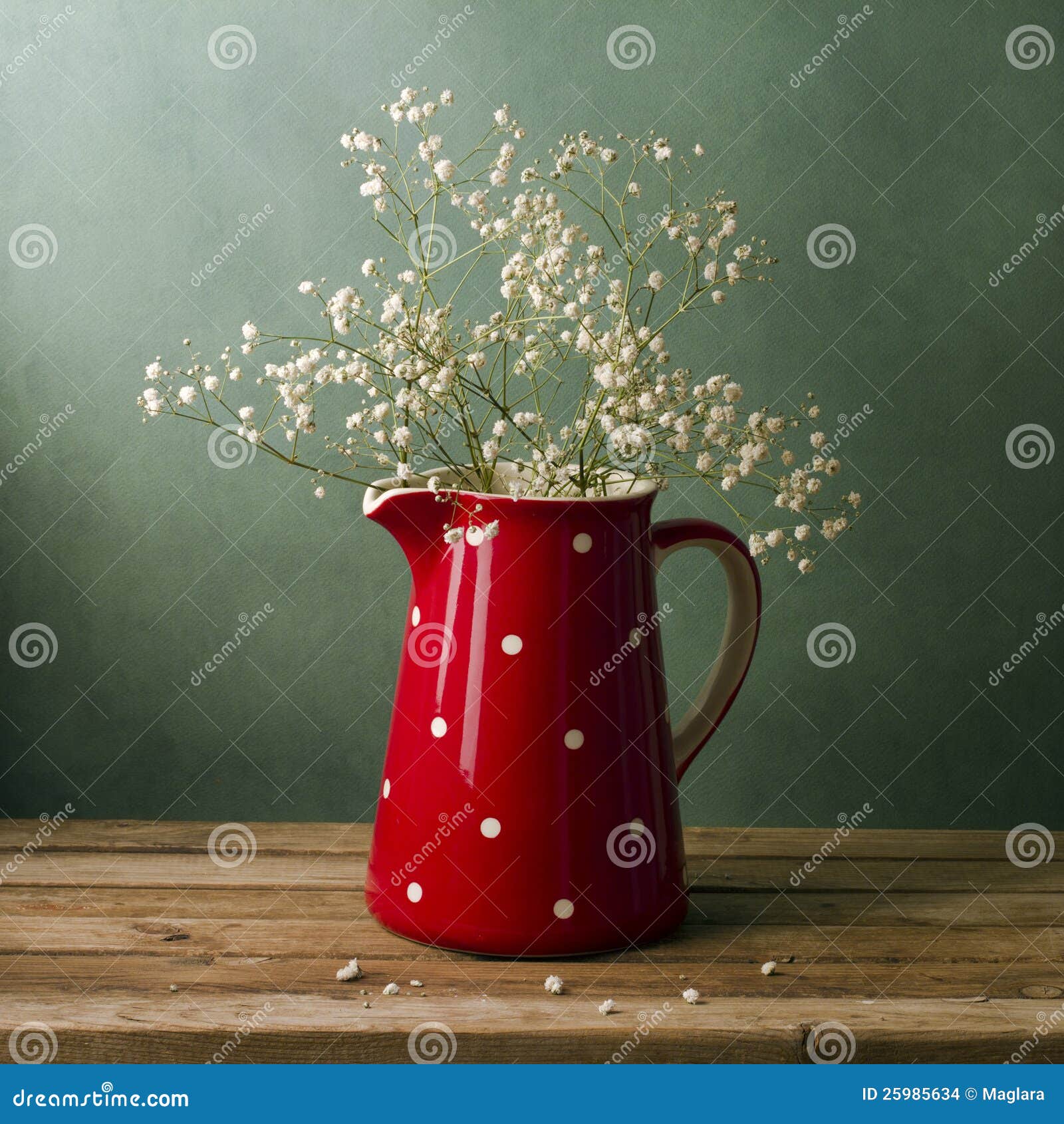 Still Life with Red Pitcher Stock Photo Image of green, gypsophila