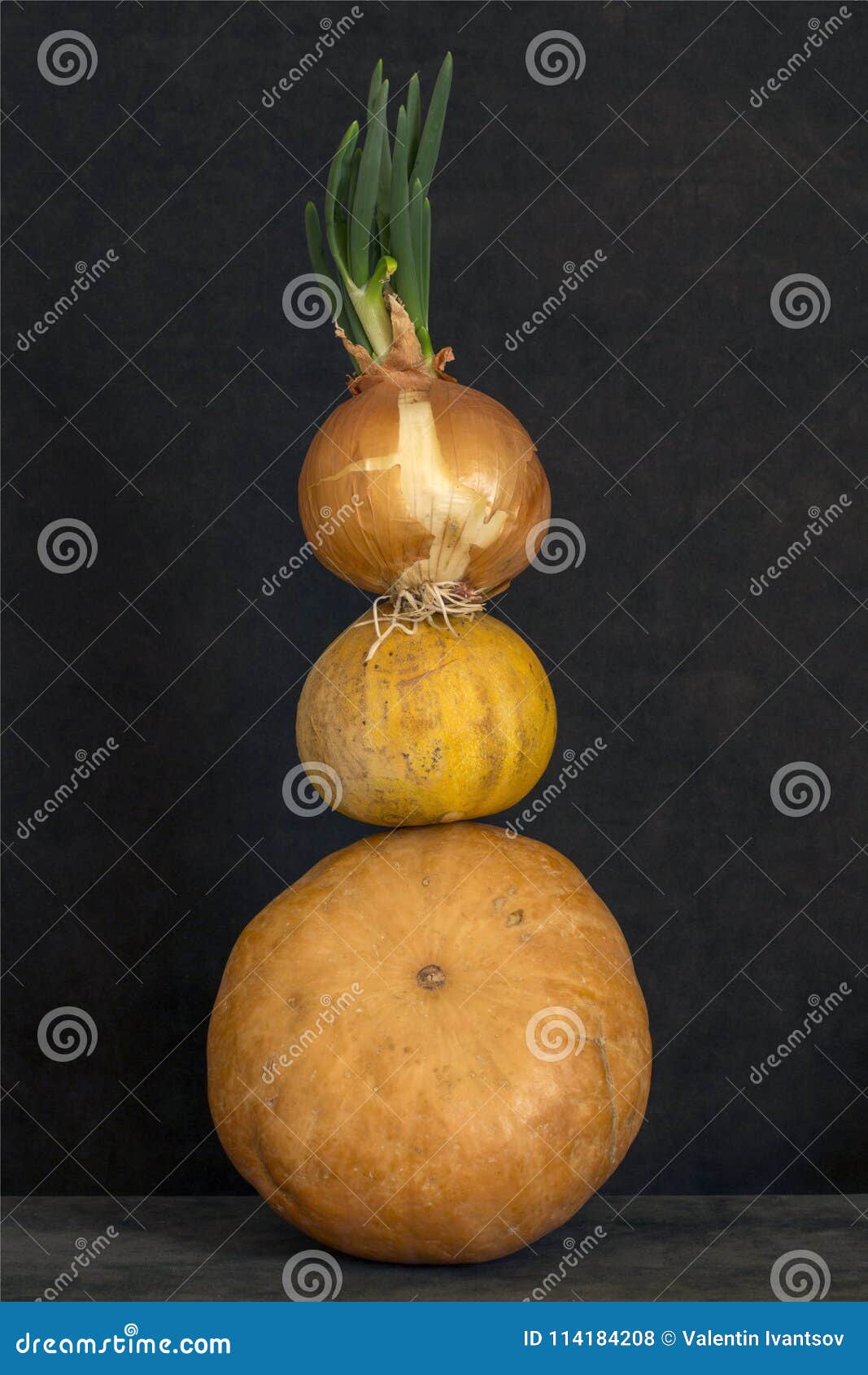 Still Life with Several Pumpkins and Sprouted Onions. Stock Photo