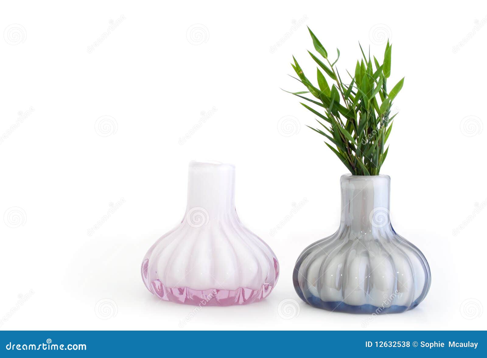 Still life vases stock photo. Image of growth, blue, nature 12632538