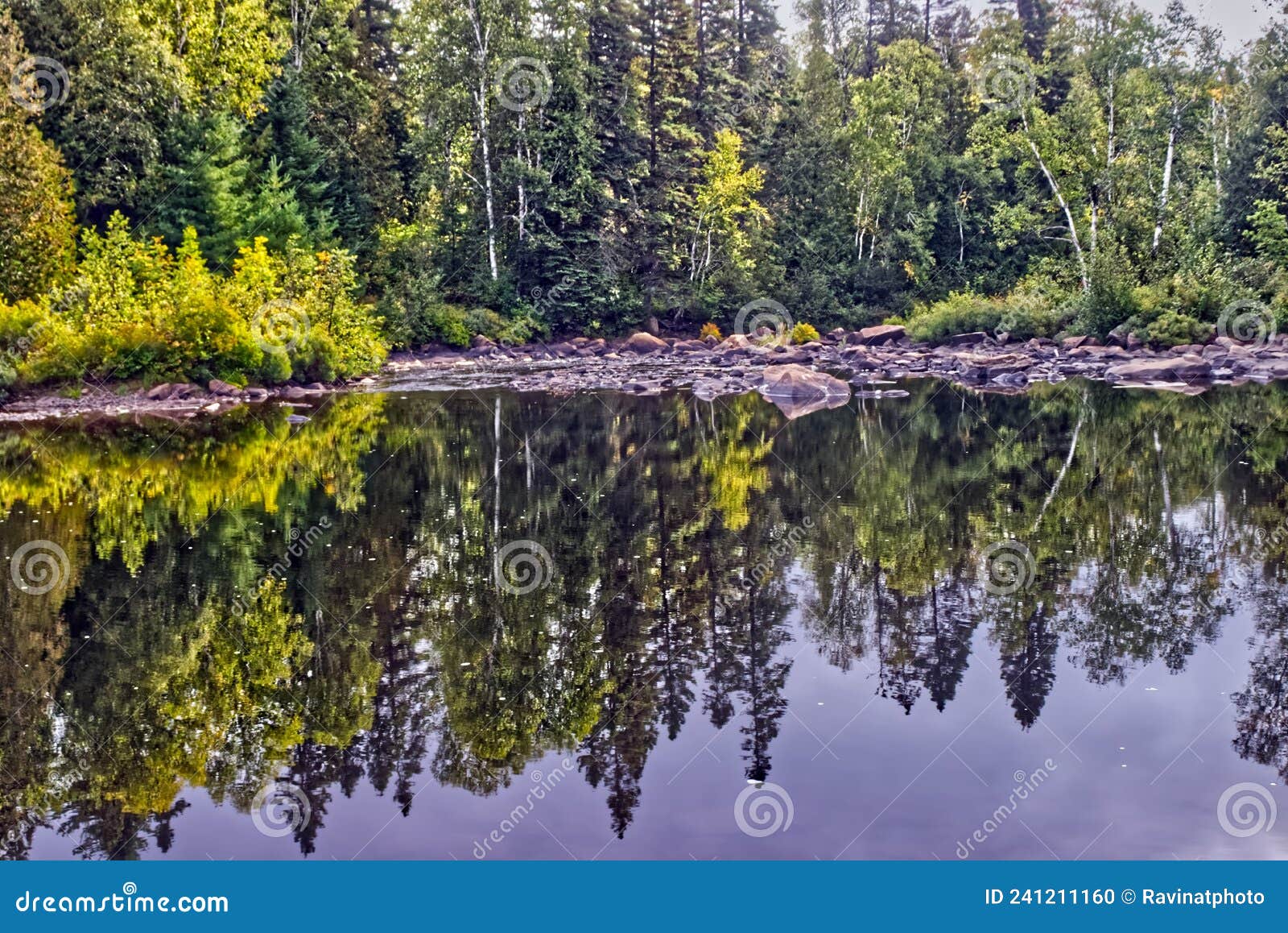 Still Reflecting Current River, , Thunder Bay, on, Canada Stock Photo