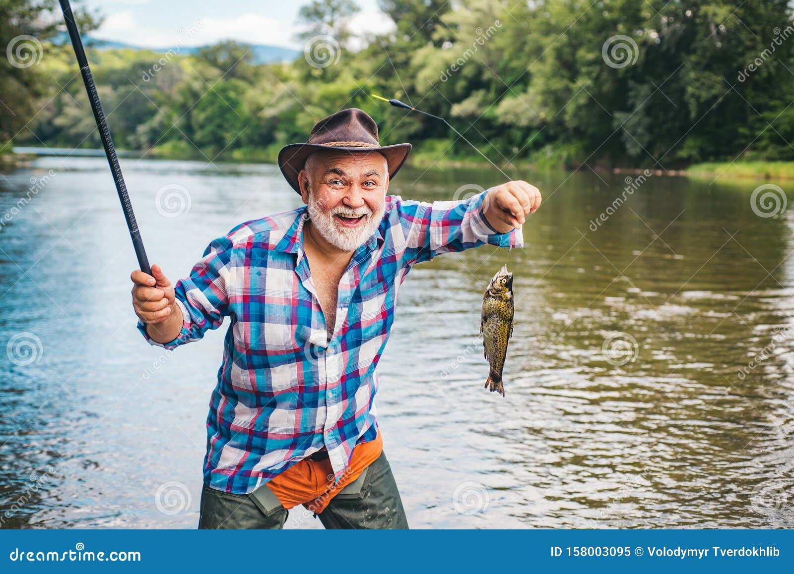 https://thumbs.dreamstime.com/z/still-water-trout-fishing-fishes-catching-hooks-fisherman-trophy-trout-rainbow-trout-hook-fishing-became-popular-158003095.jpg