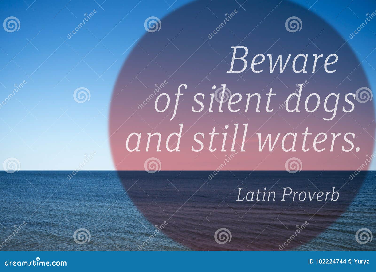 still waters proverb