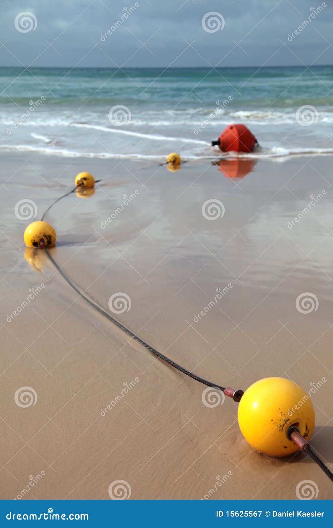 Stinger Jellyfish Protection Net Stock Image Image of vertical
