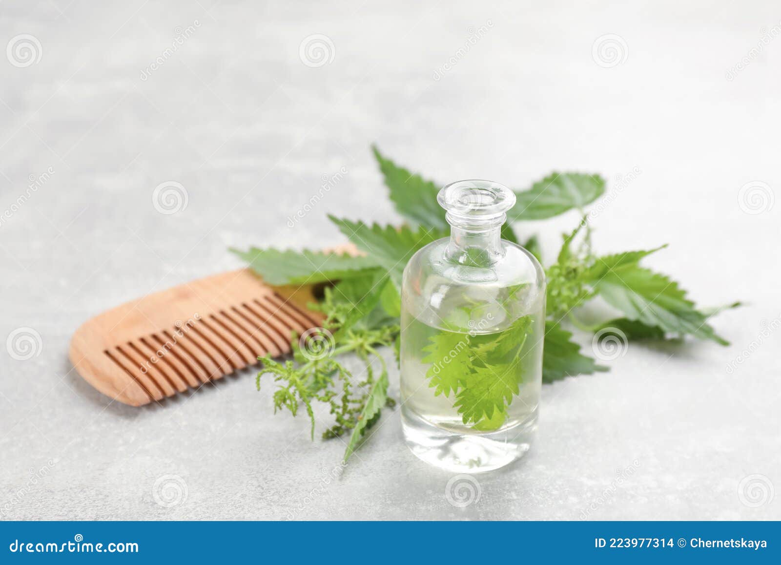 Stinging Nettle, Extract and Comb on Grey. Natural Hair Care Stock
