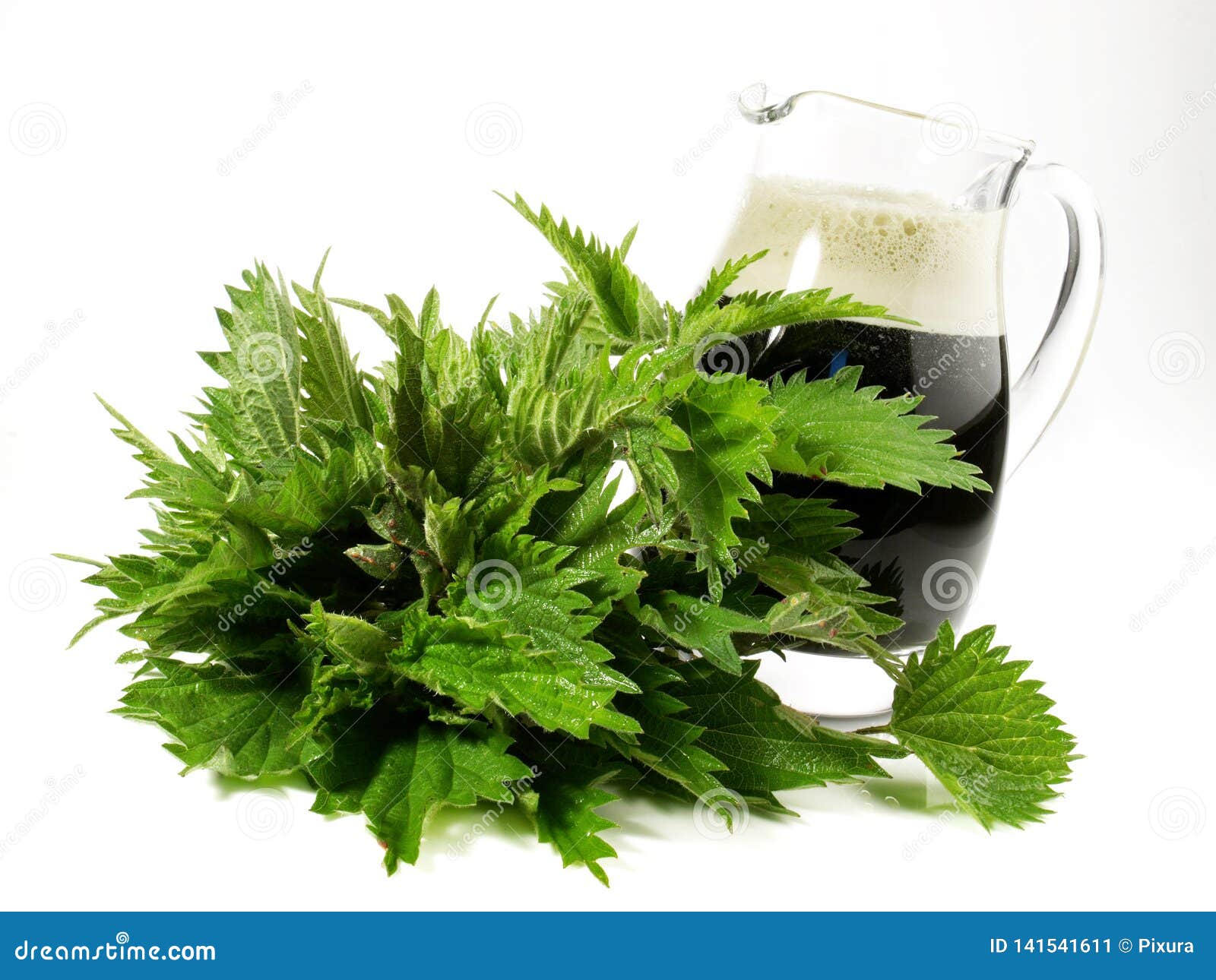 Stinging Nettle Juice Healthy Nutrition Stock Image Image of detox