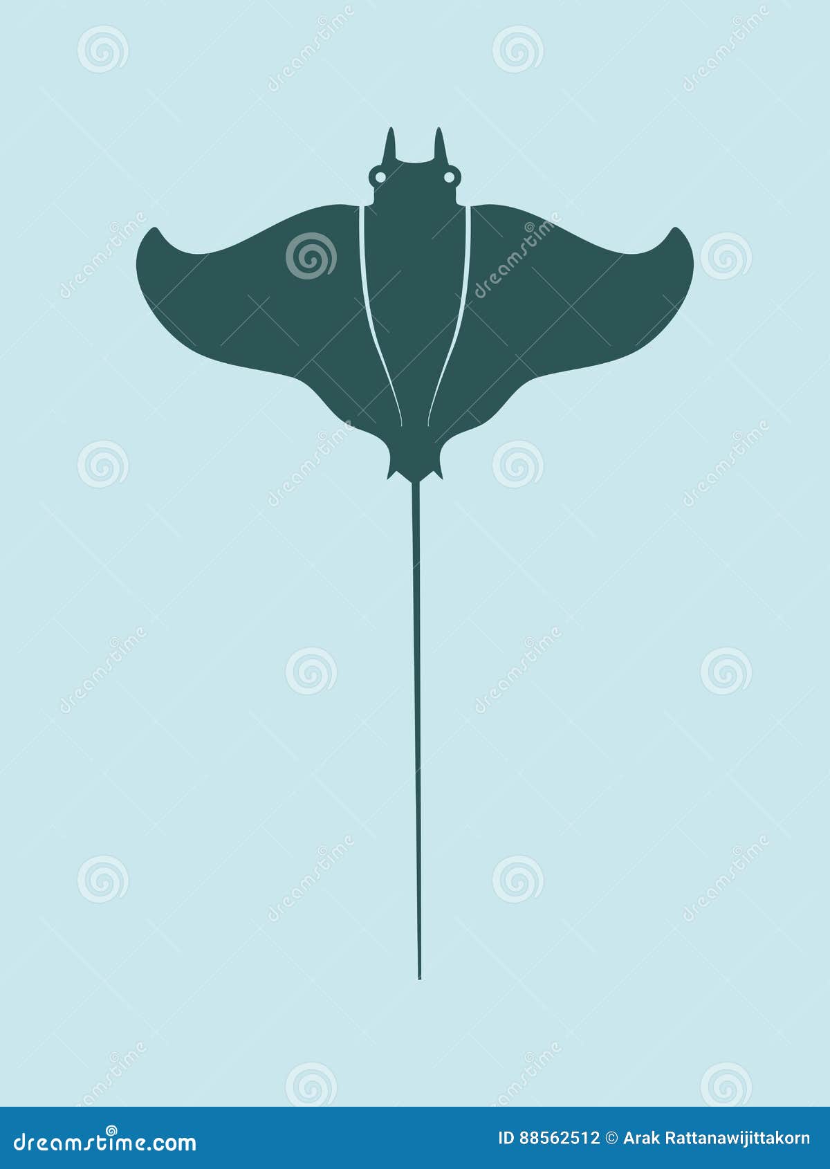 stingray fish, batoids fish