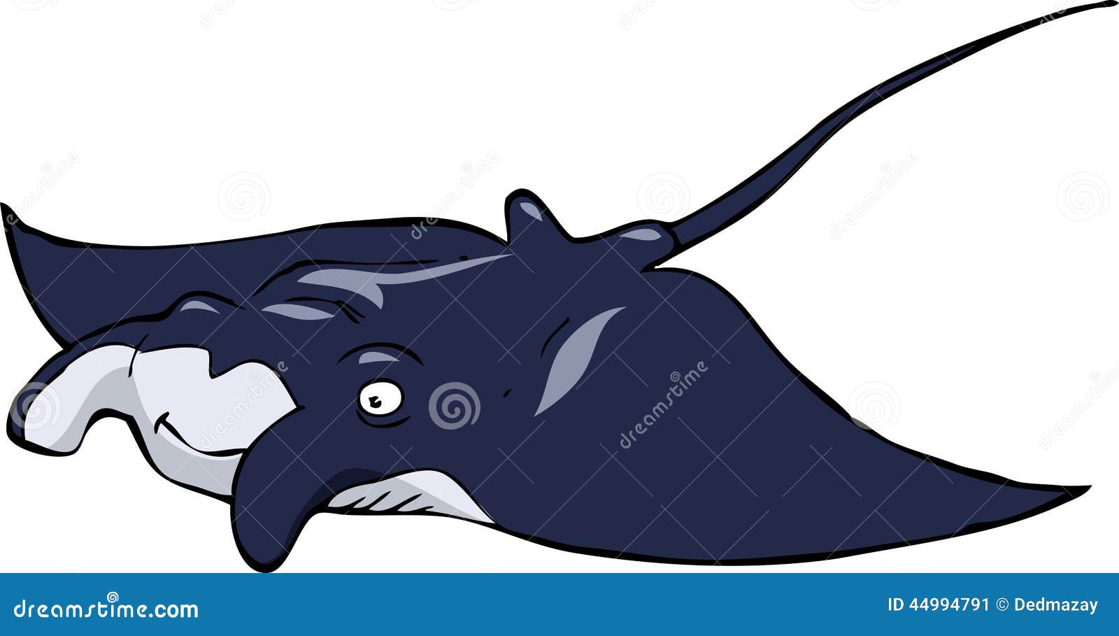 Stingray stock vector. Illustration of underwater, cute - 44994791