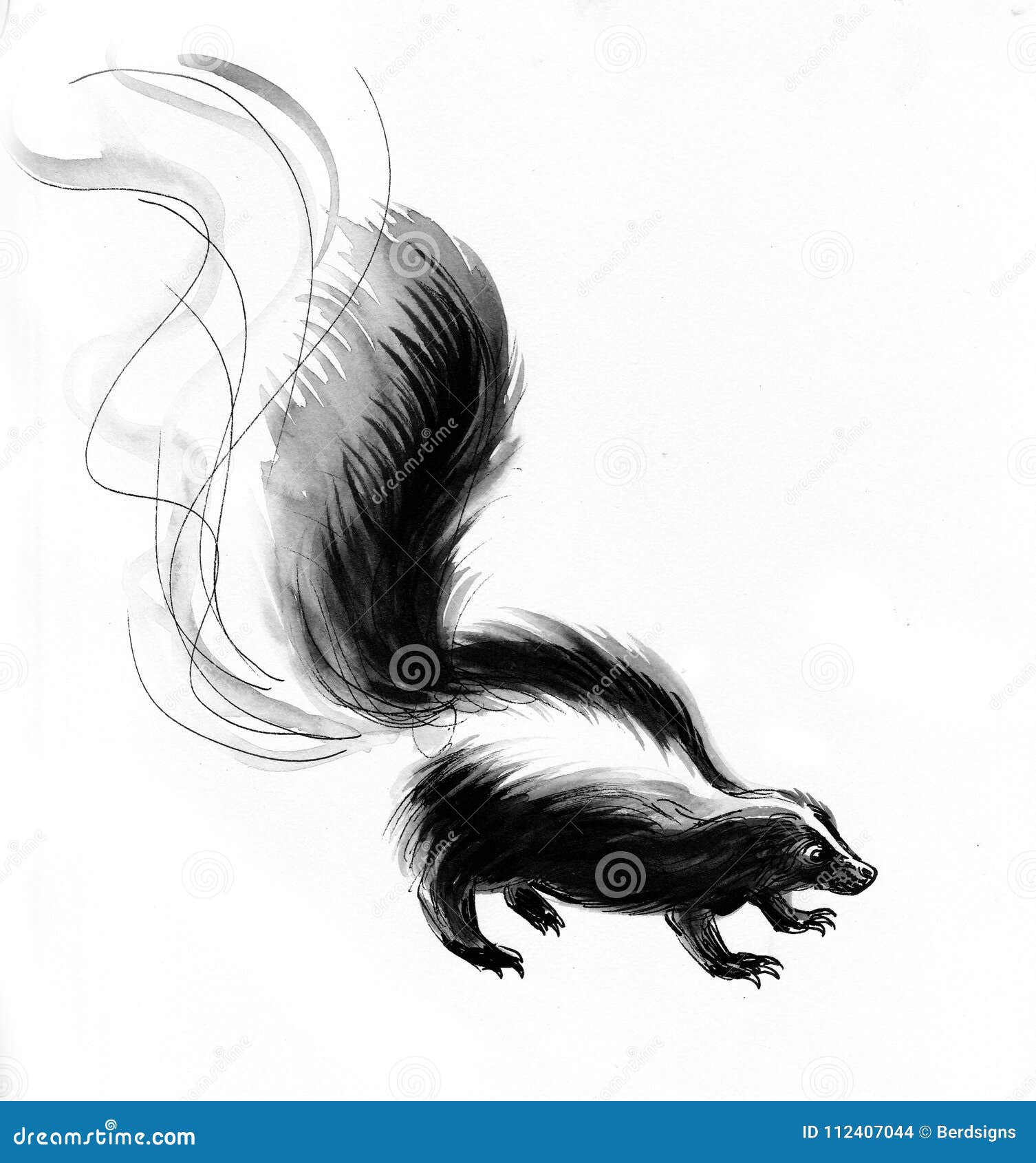 257 Sketch Skunk Stock Illustrations, Vectors & Clipart - Dreamstime