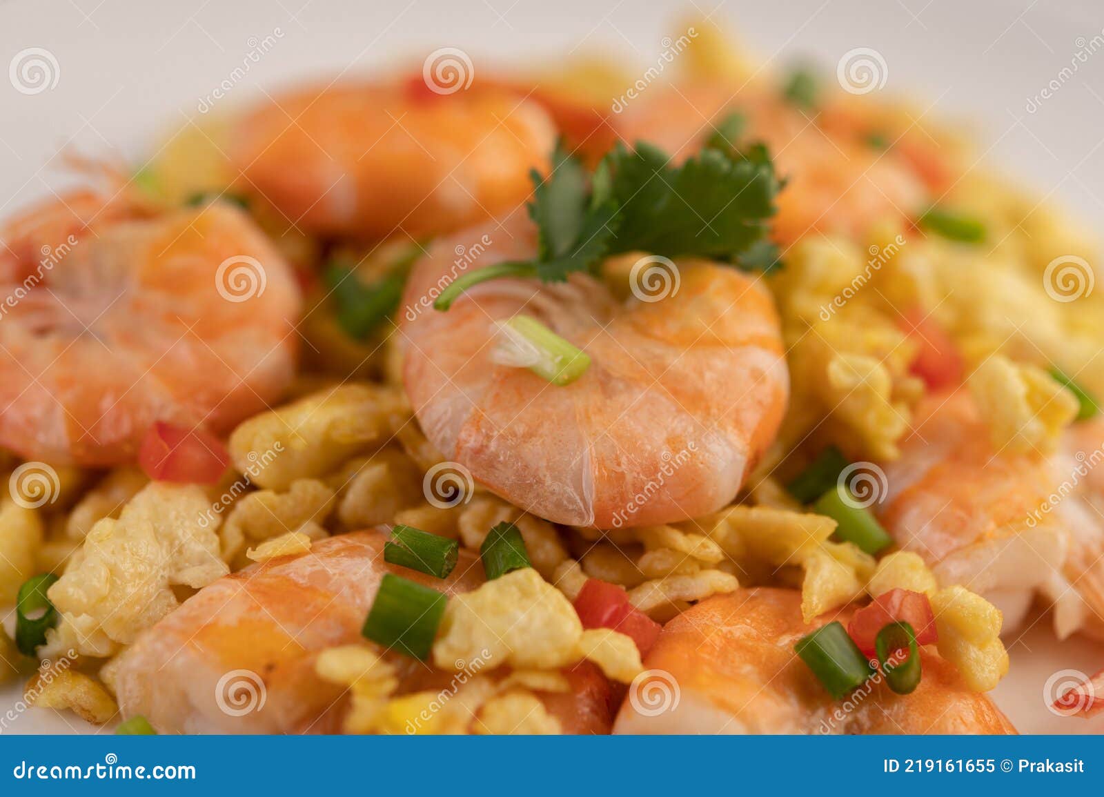 Stir Fried Eggs with Shrimp on a White Plate Stock Image Image of