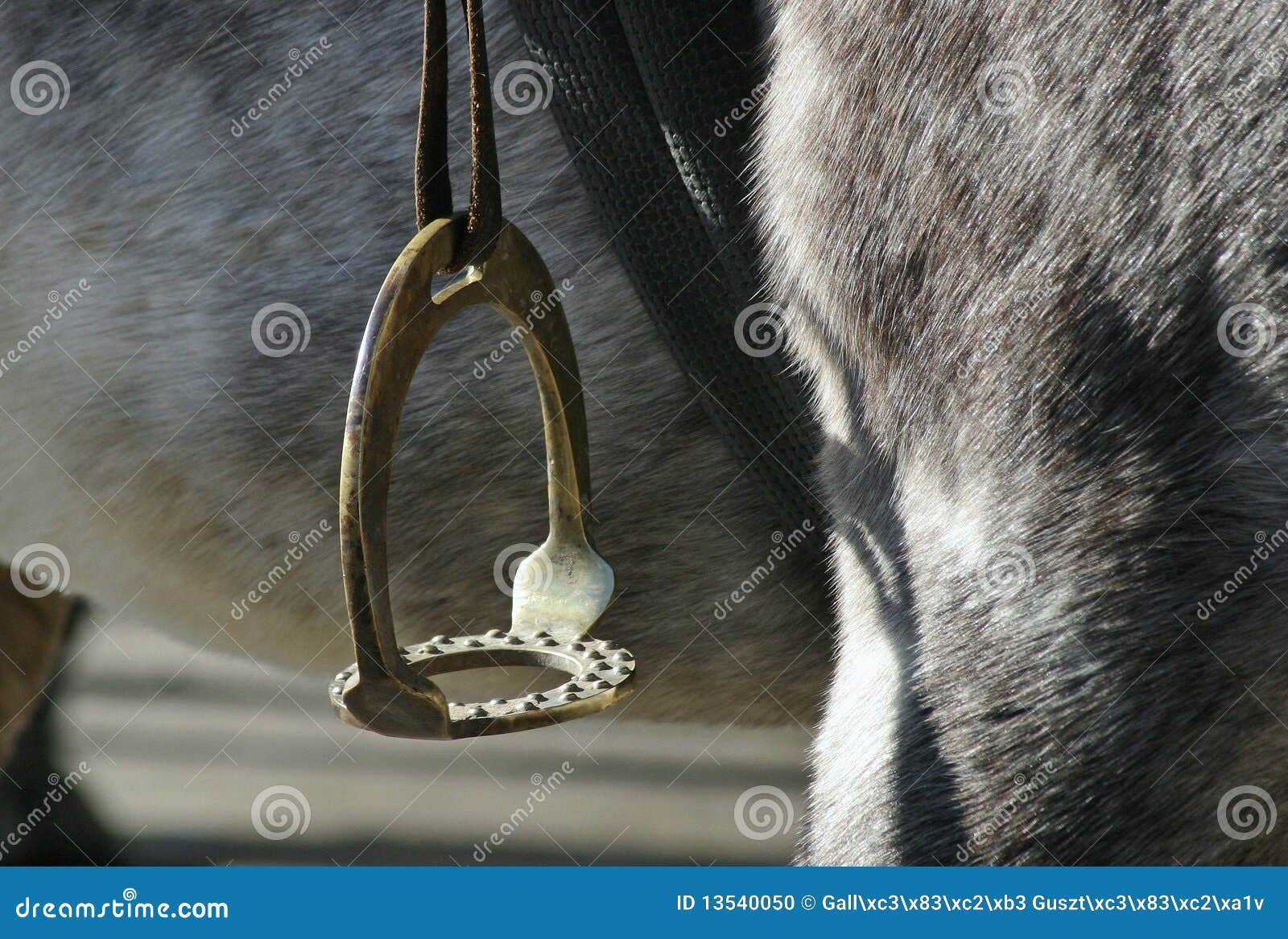 Stirrup2 stock photo. Image of western, rider, strap 13540050