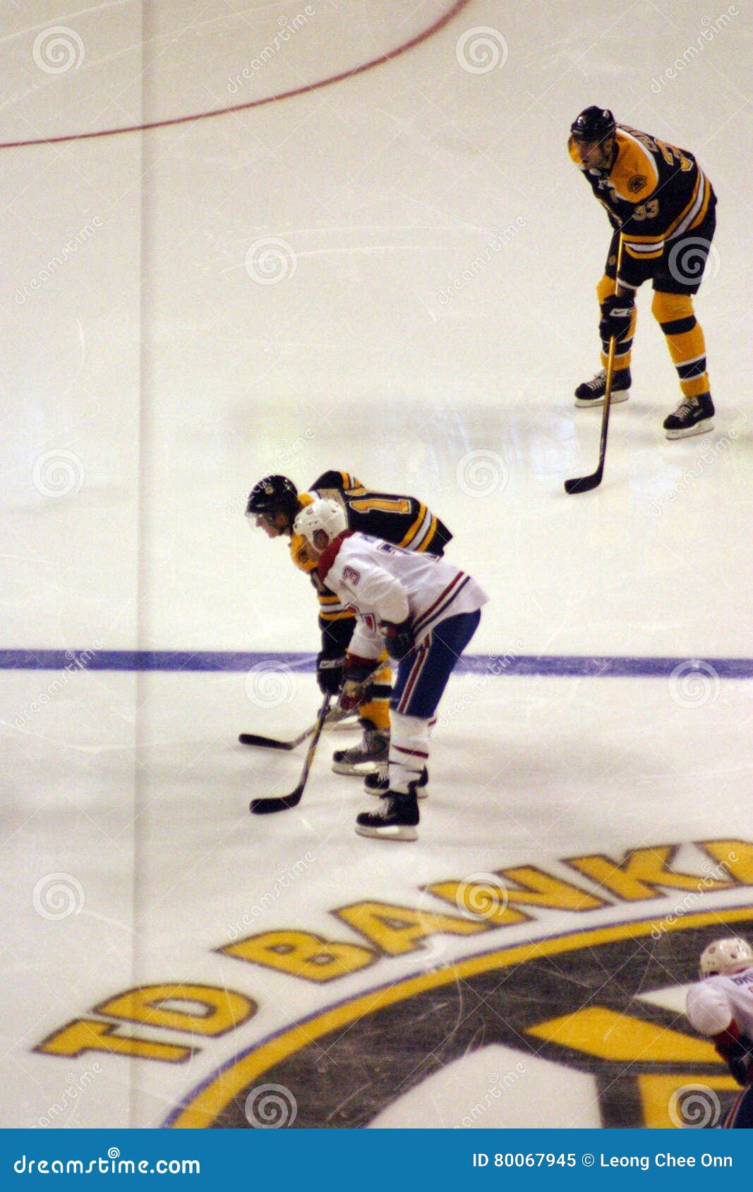 Stock Image of Ice Hockey Game at Boston Editorial Image Image of