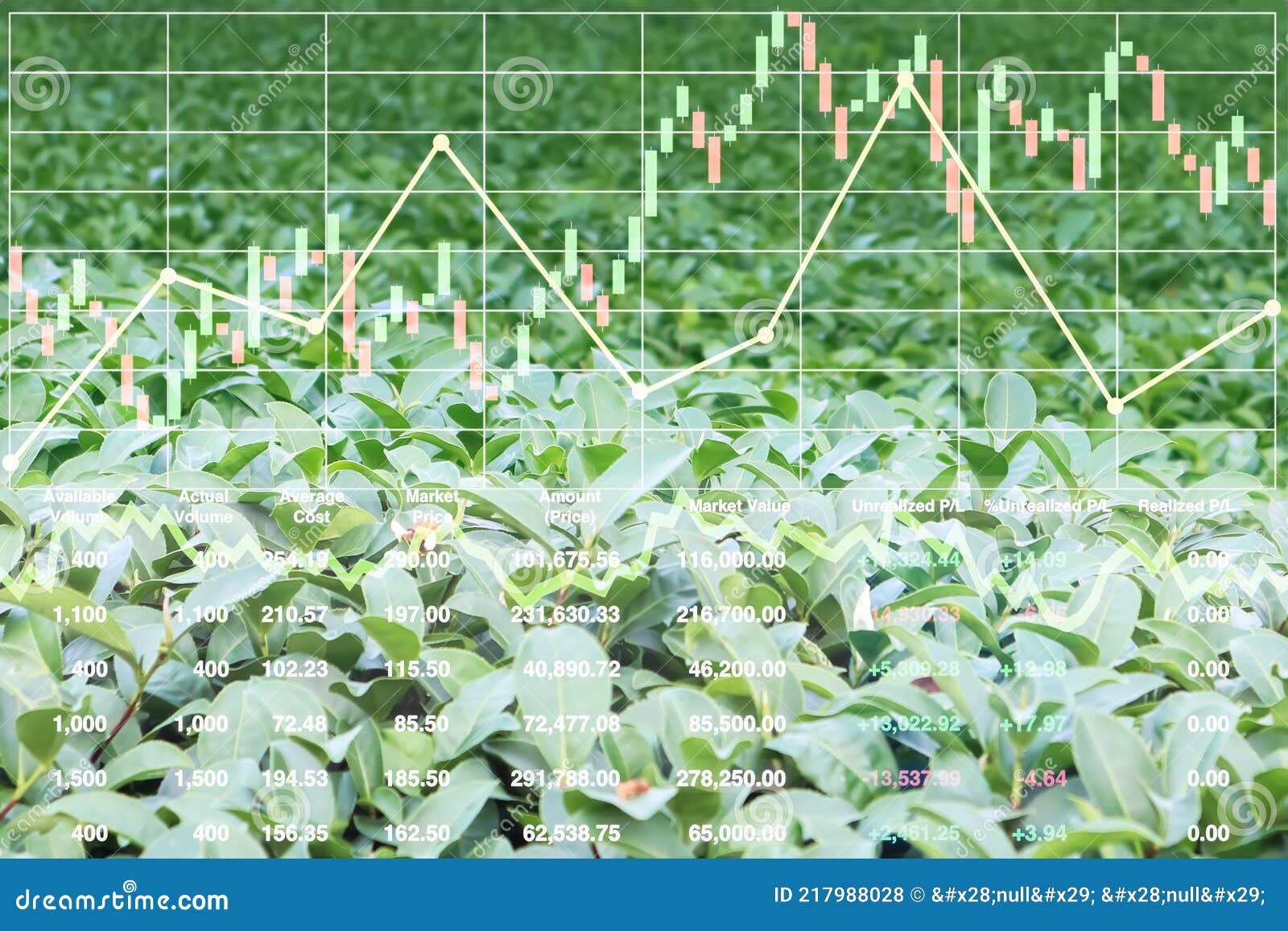 Stock Market Index Information Data on Agriculture Vegetable for Food in  the Organic Farm Industry Business for Presentation and Stock Photo - Image  of industry, fresh: 217988028