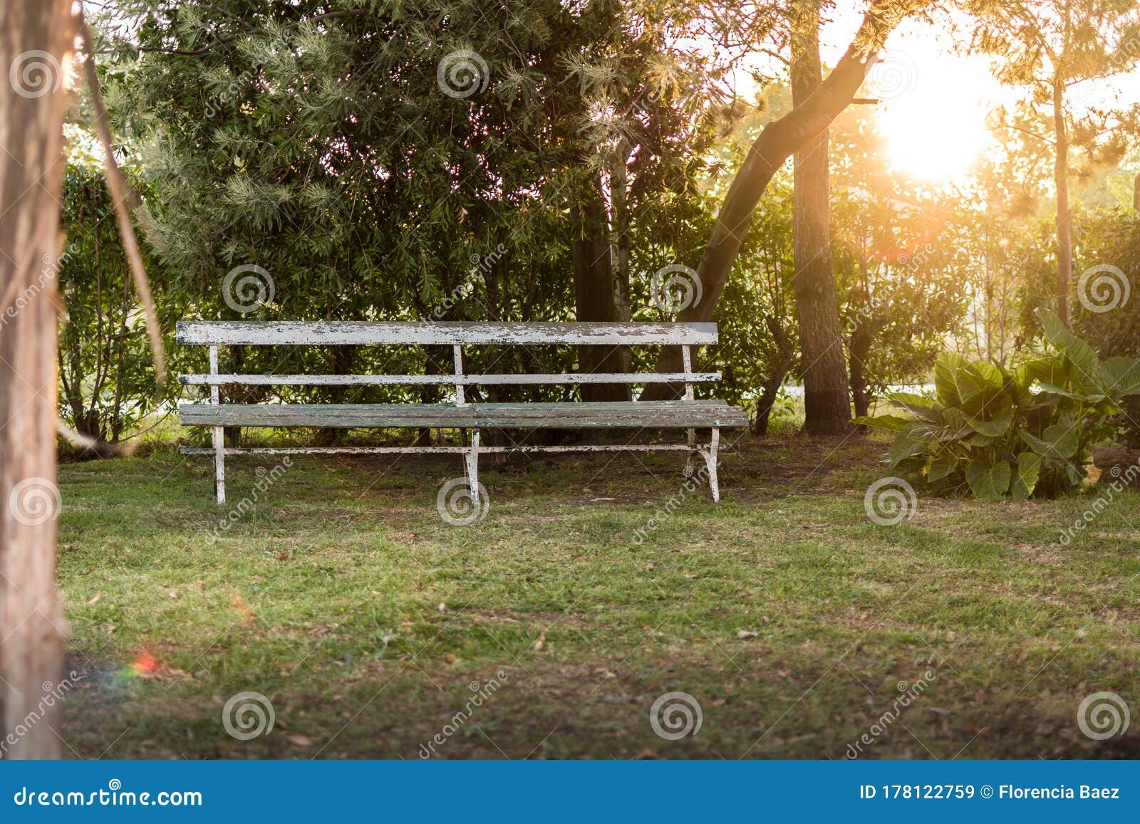 stock photo of empty bank in a garden during a sunset with an amazing light