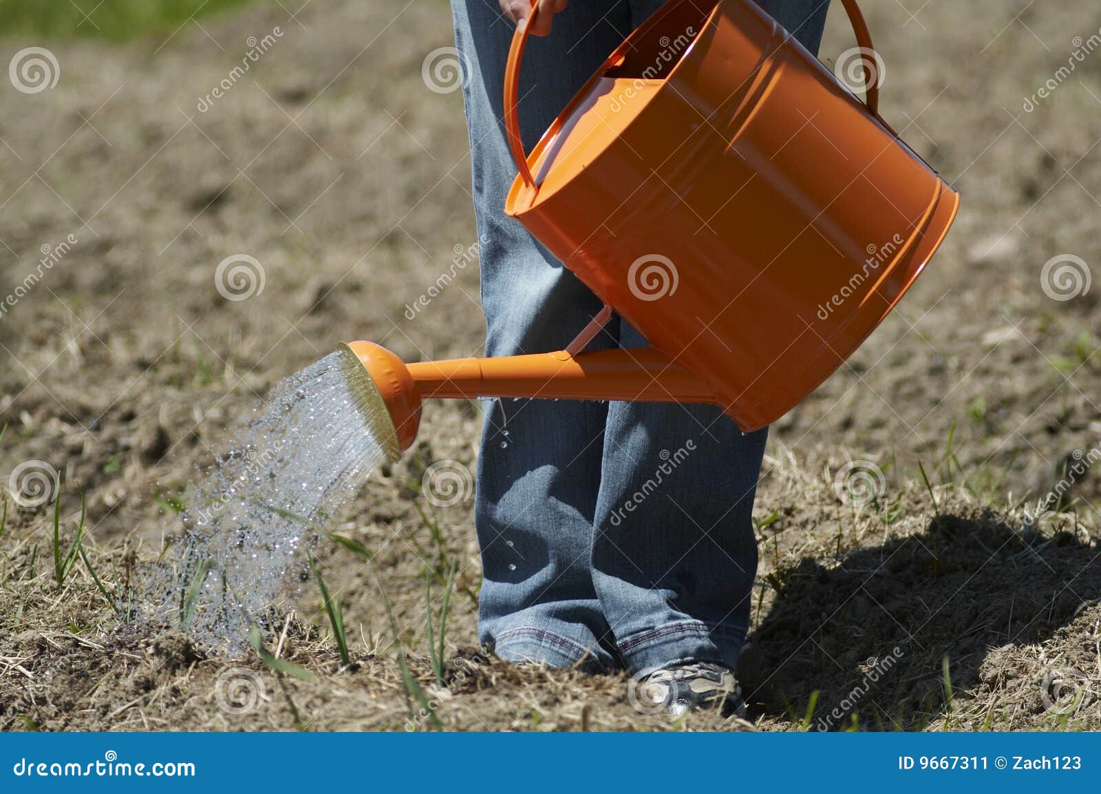 Stock Photo of a Garden Being Watered Stock Image Image of helping