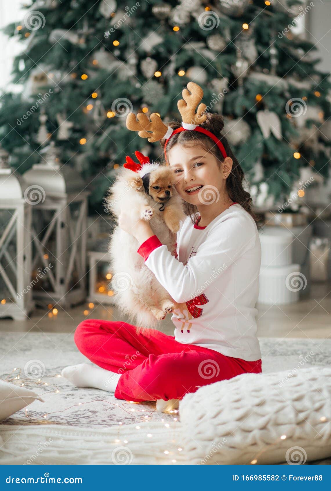 Happy Little Girl with Dog in Christmas Decorations Stock Photo - Image ...