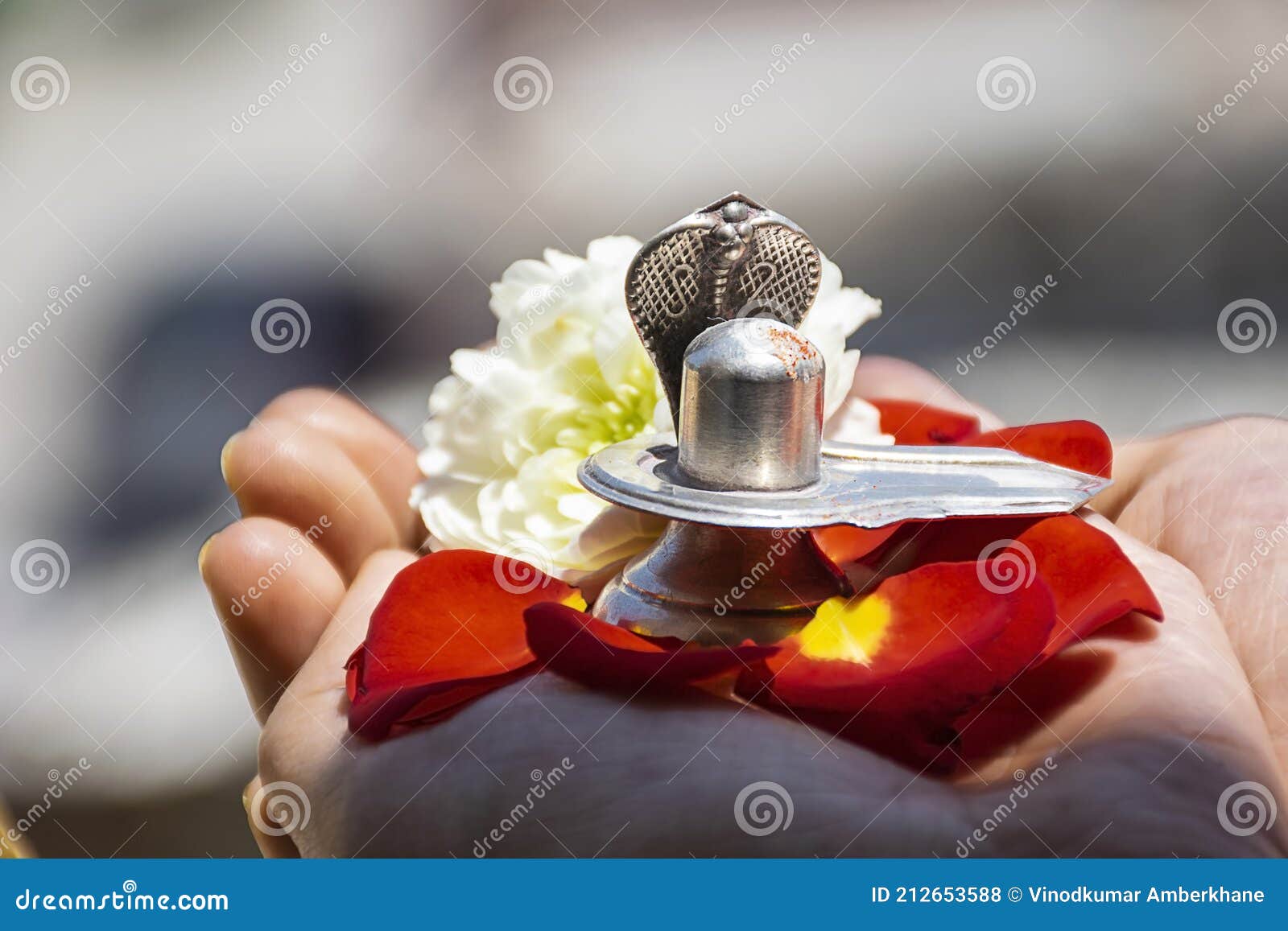 Stock Photo of a Man Holding and Worshiping Silver Shivlinga Which ...