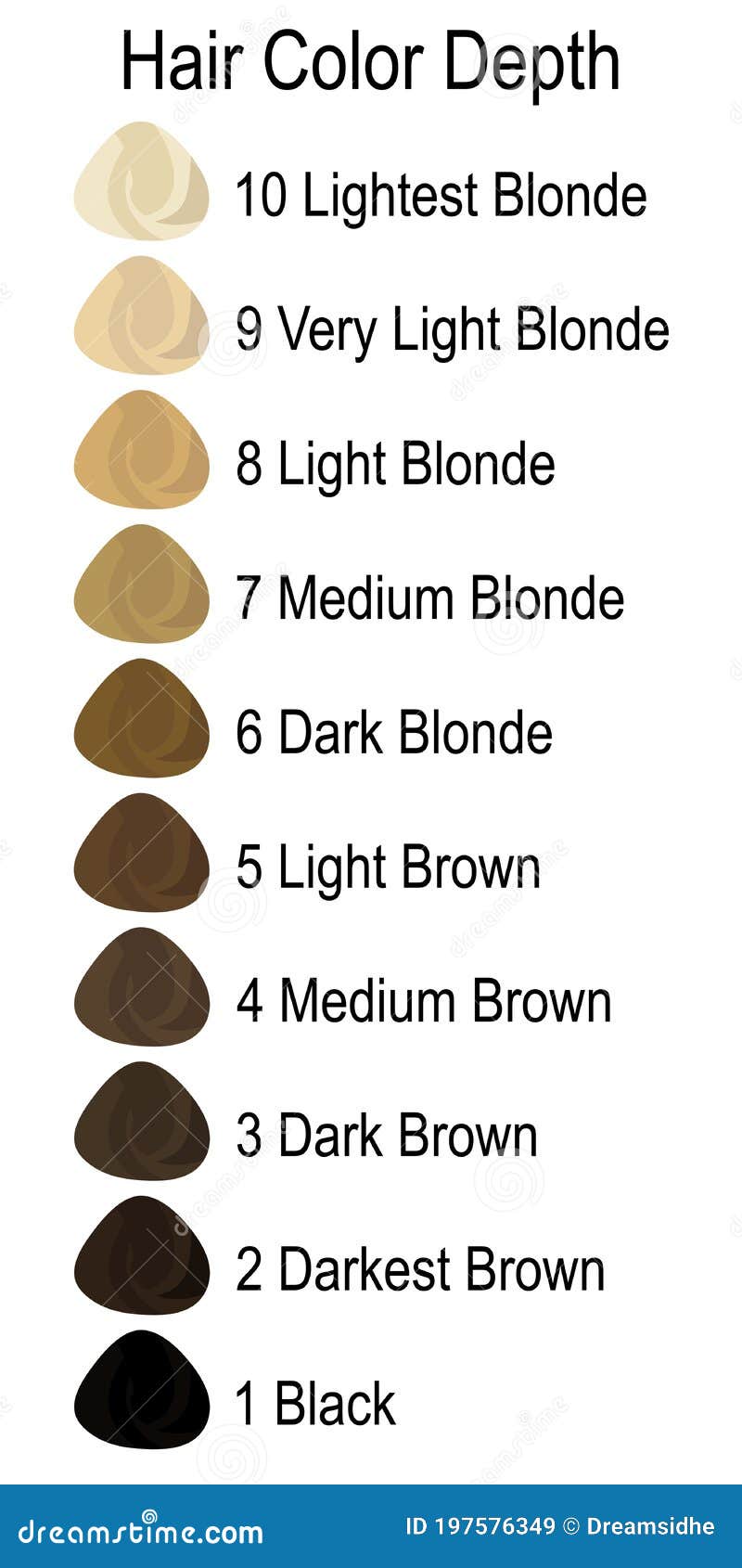Stock Vector Palette With Hair Colour Numbering System CartoonDealer