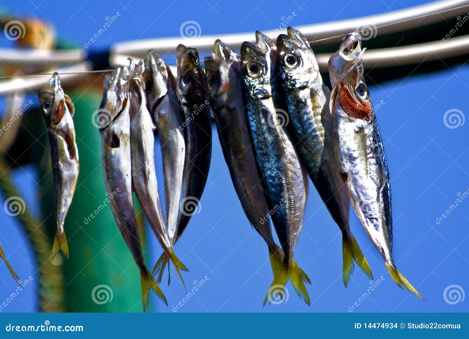 Stockfish stock photo. Image of cuisine, merchandise 14474934
