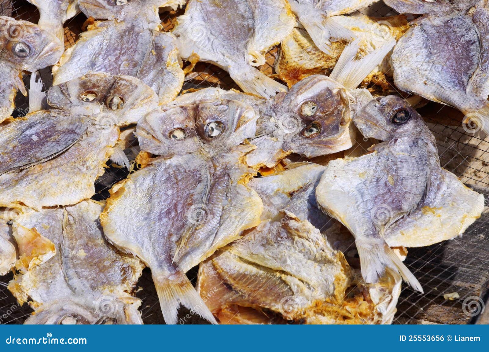 1,003 Stockfish Stock Photos, High-Res Pictures, and Images